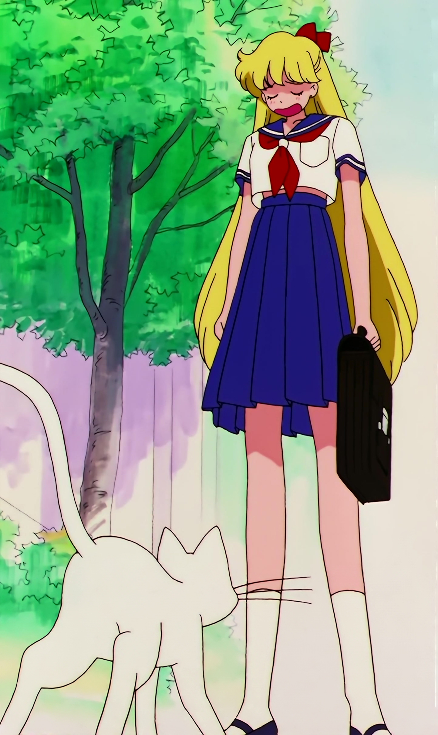 Sailor Moon S Stitch 0298.jpg