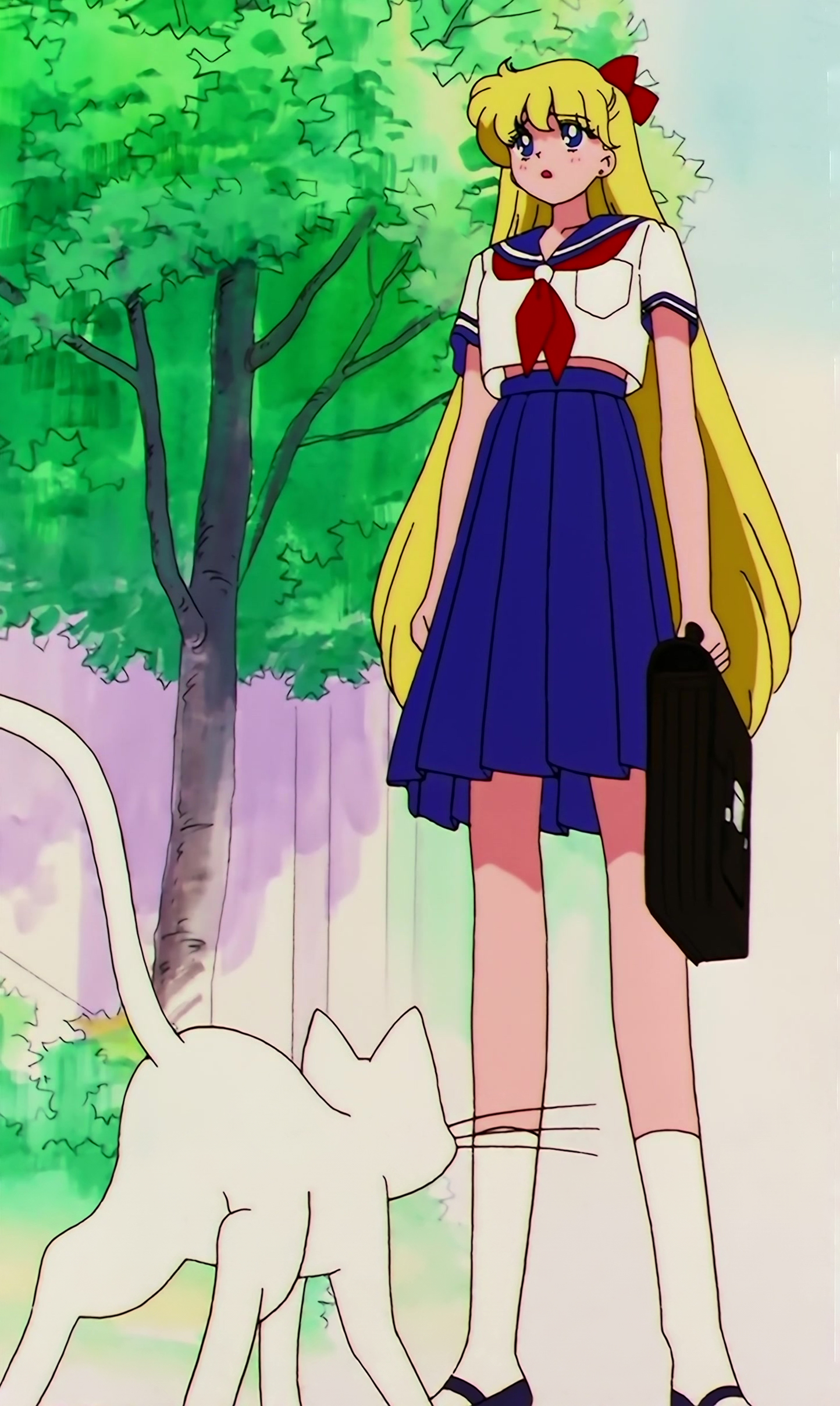 Sailor Moon S Stitch 0299.jpg
