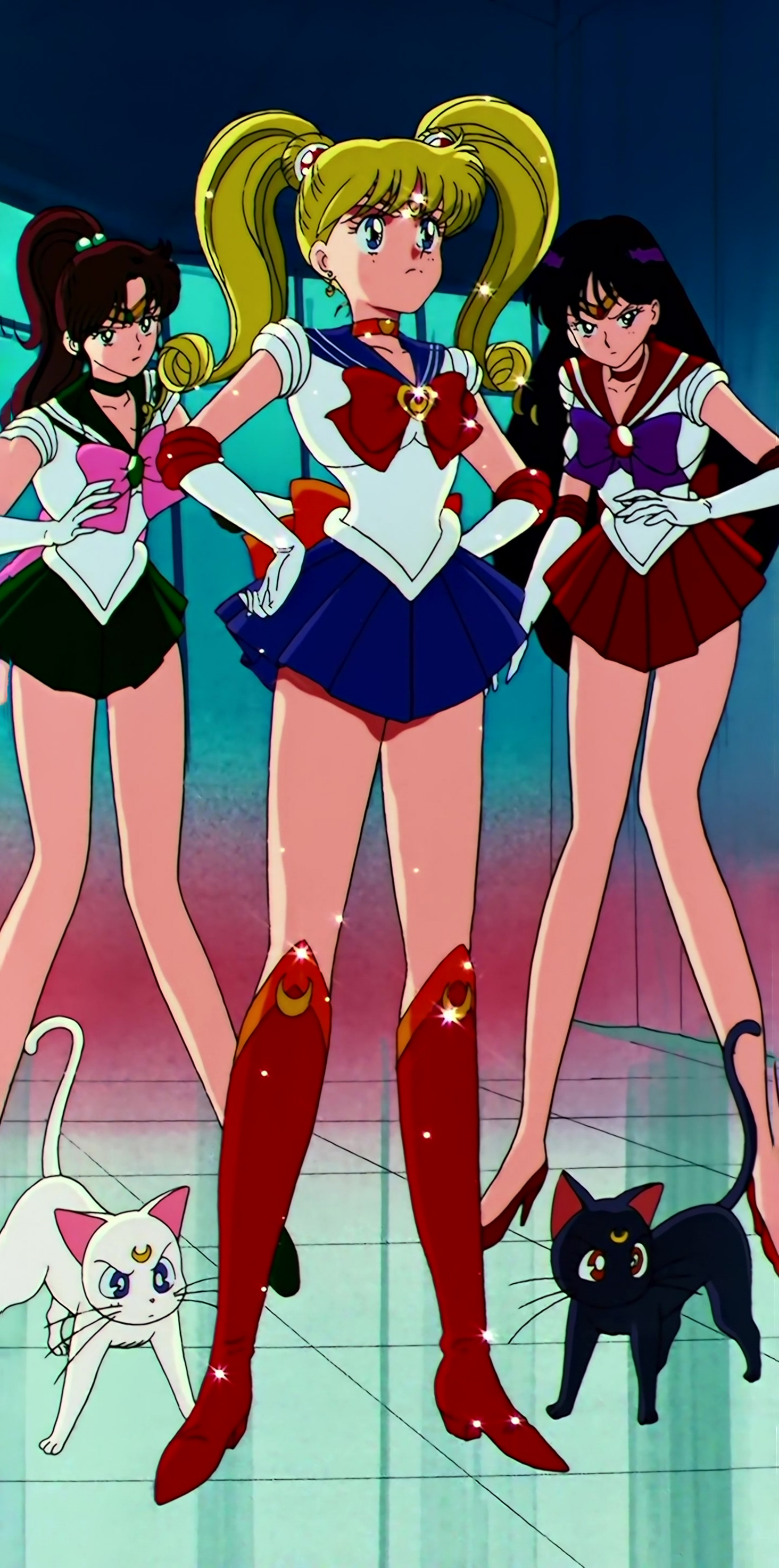 Sailor Moon S Stitch 0361.jpg
