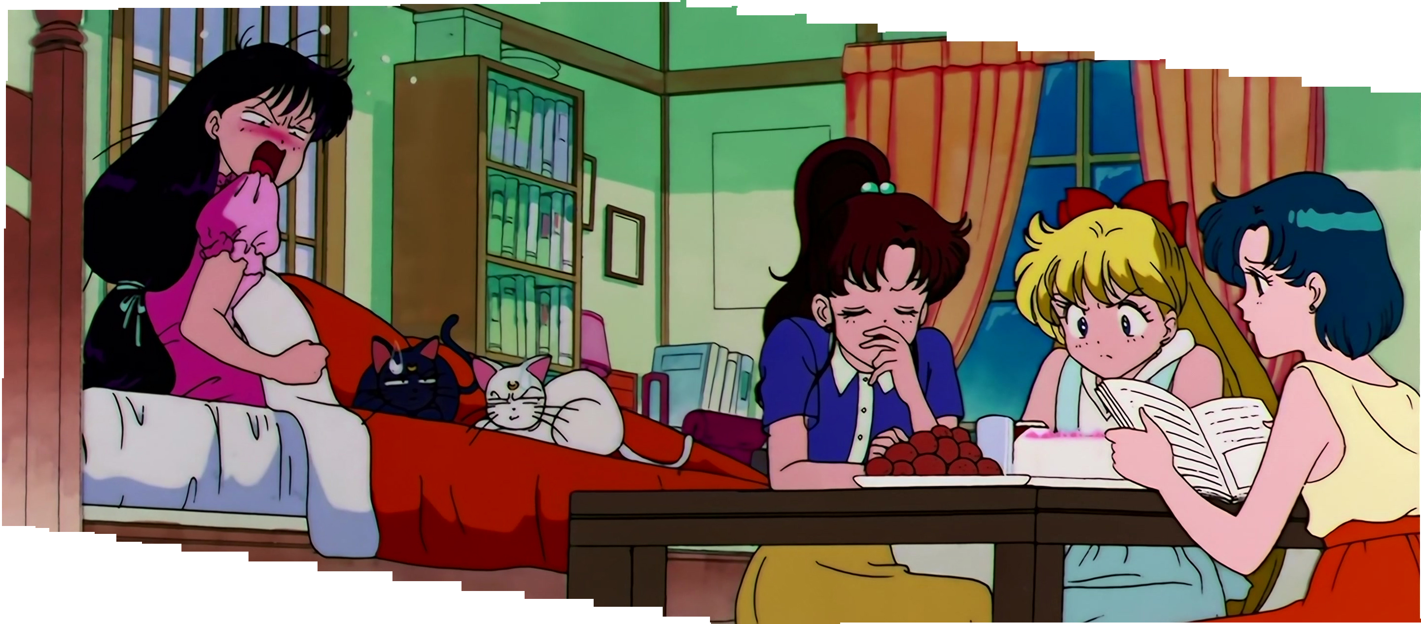 Sailor Moon S Stitch 0388.jpg