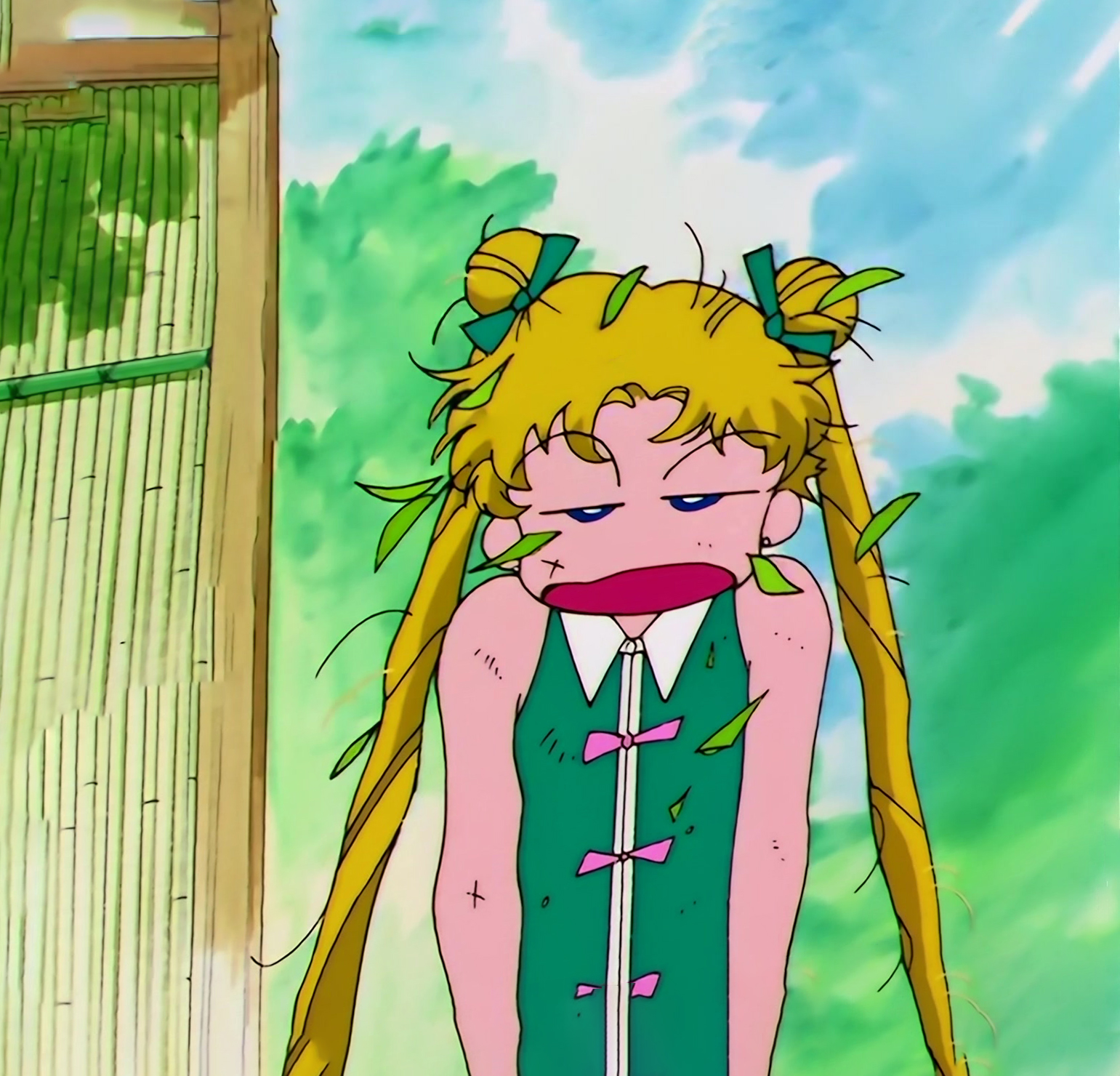 Sailor Moon S Stitch 0448.jpg