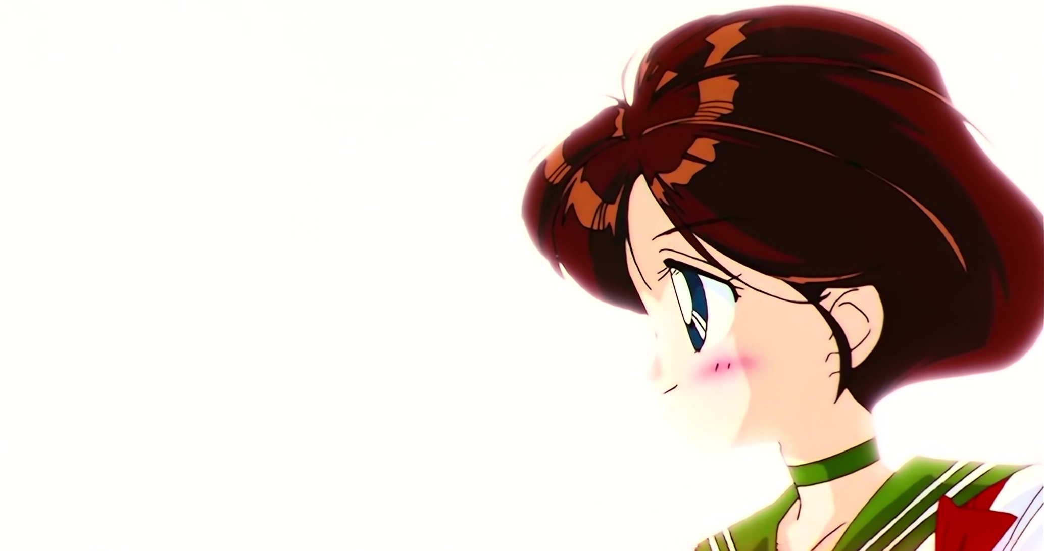 Sailor Moon S Stitch 0453.jpg