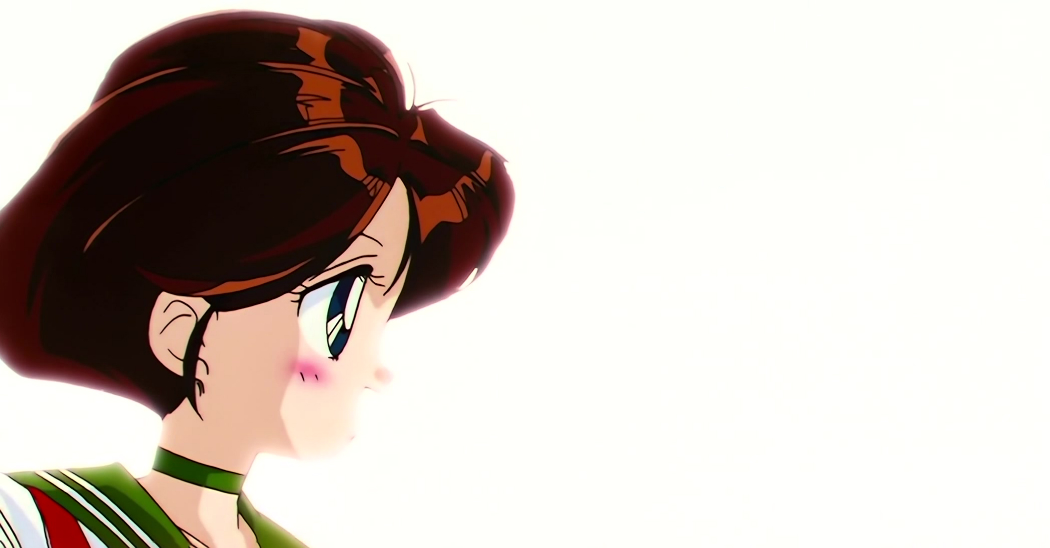 Sailor Moon S Stitch 0454.jpg