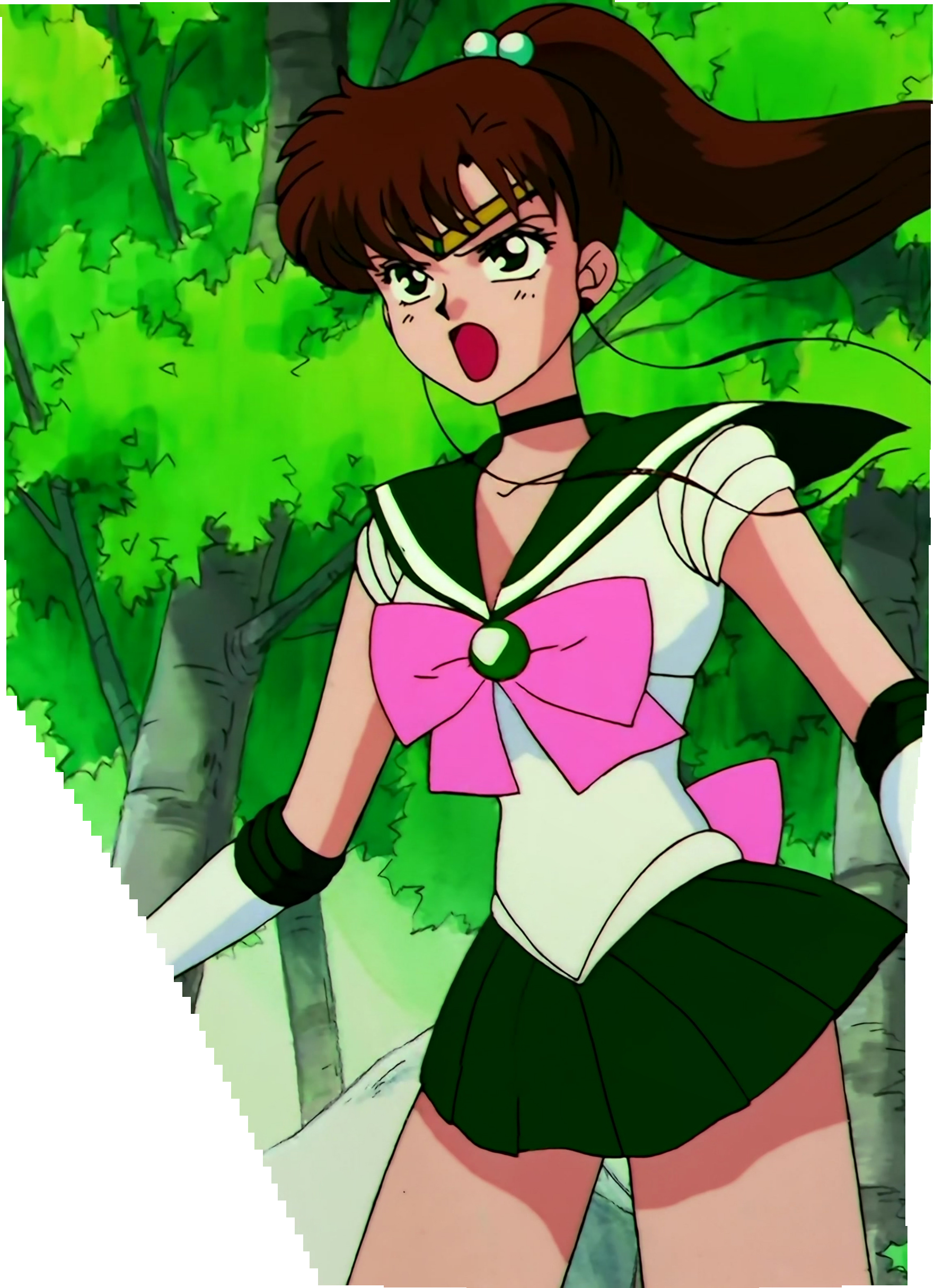 Sailor Moon S Stitch 0476.jpg