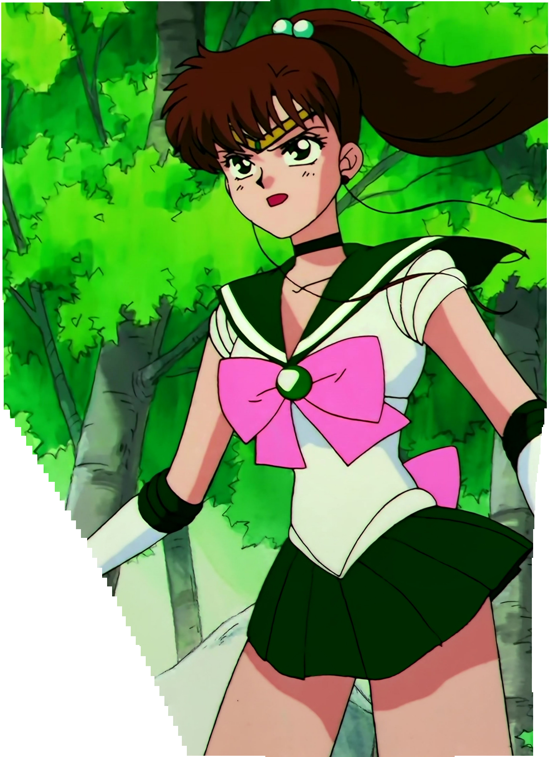 Sailor Moon S Stitch 0477.jpg