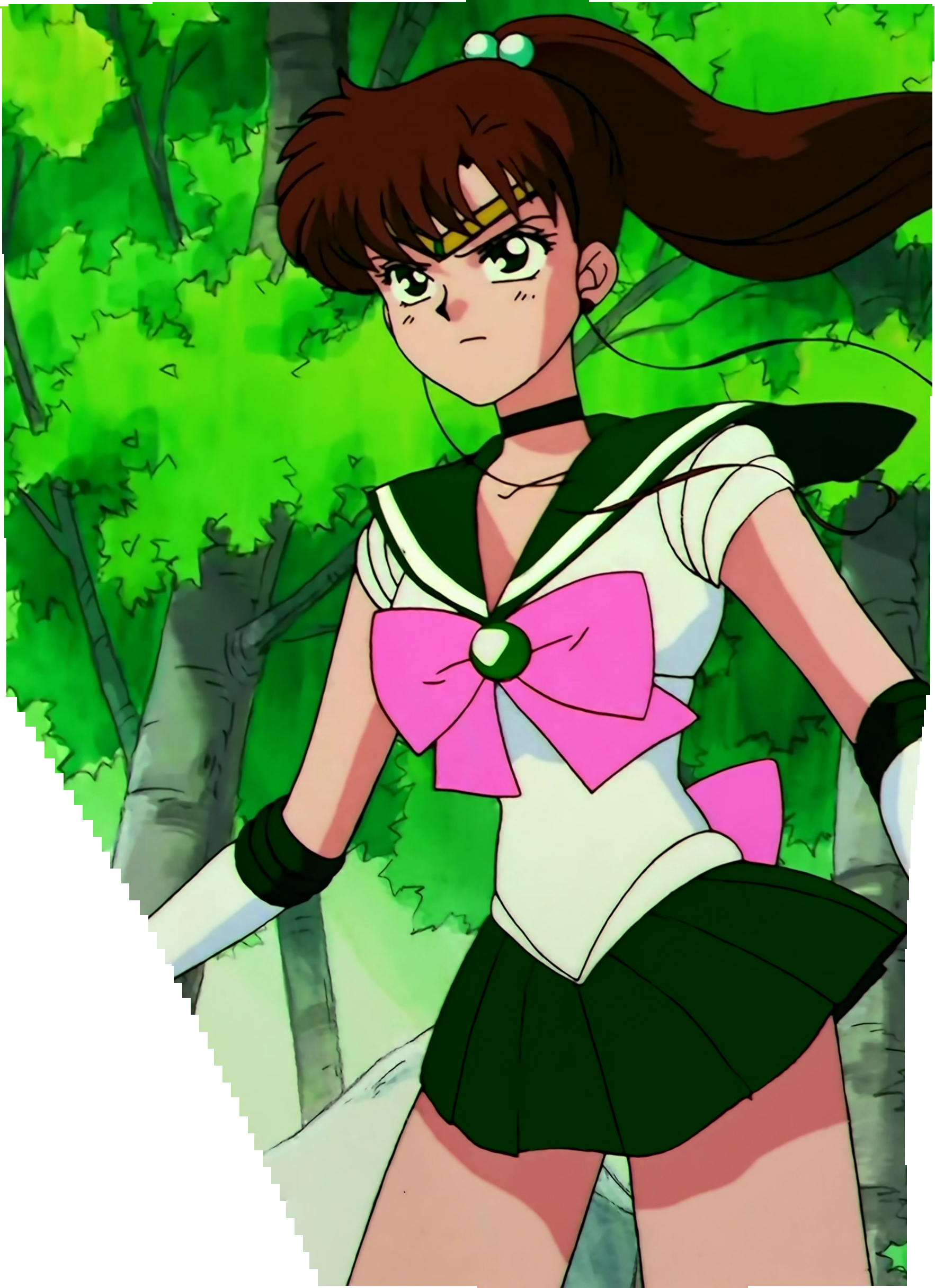 Sailor Moon S Stitch 0478.jpg