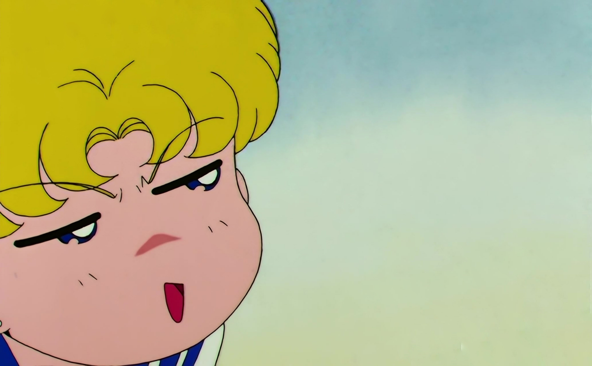 Sailor Moon S Stitch 0499.jpg