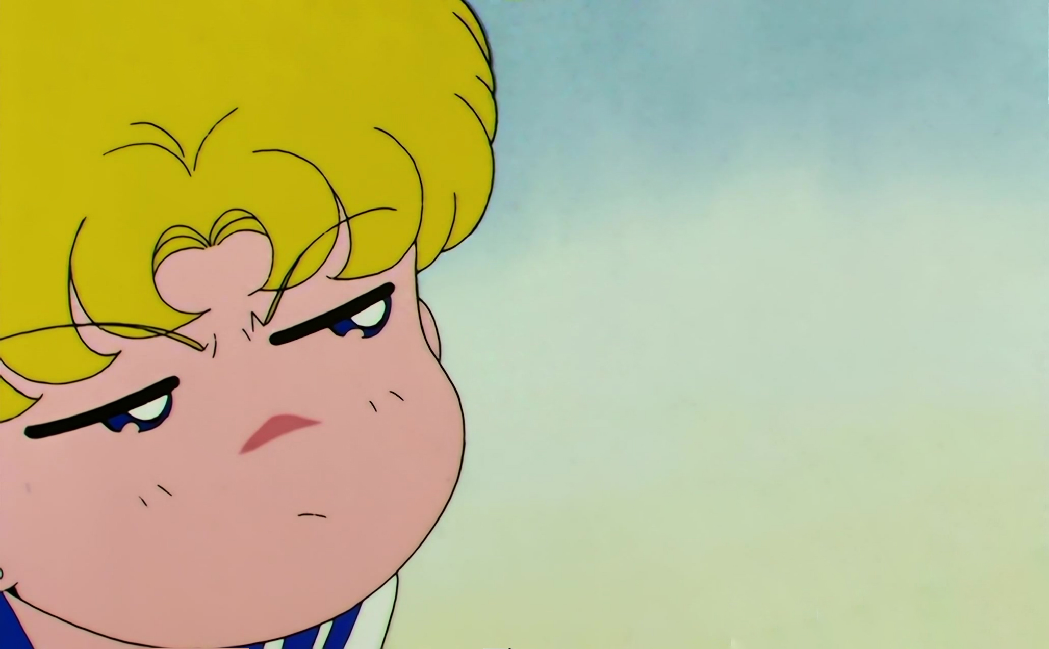 Sailor Moon S Stitch 0500.jpg