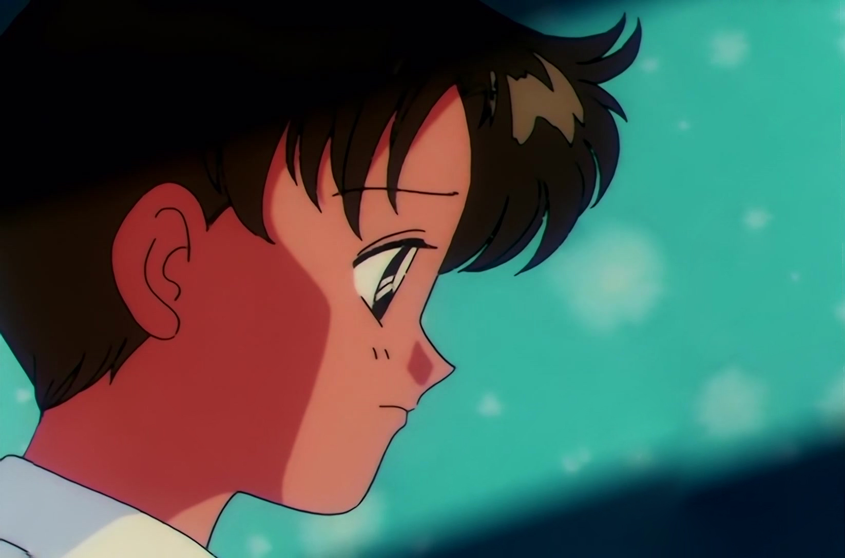 Sailor Moon S Stitch 0545.jpg