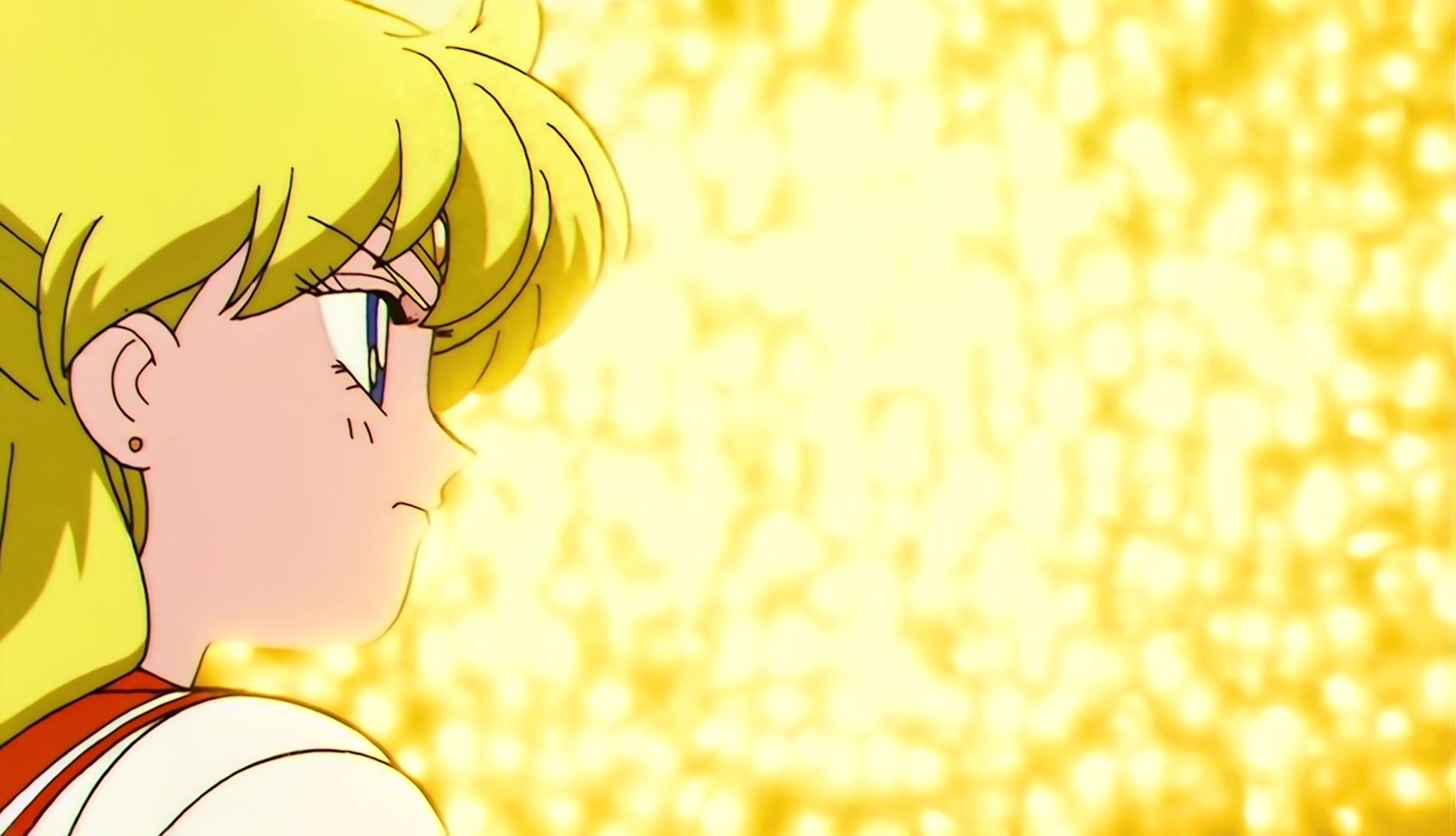 Sailor Moon S Stitch 0618.jpg