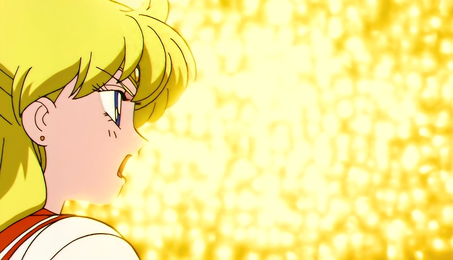 Sailor Moon S Stitch 0619.jpg