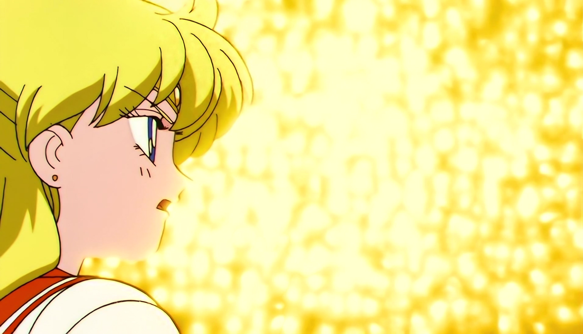 Sailor Moon S Stitch 0620.jpg