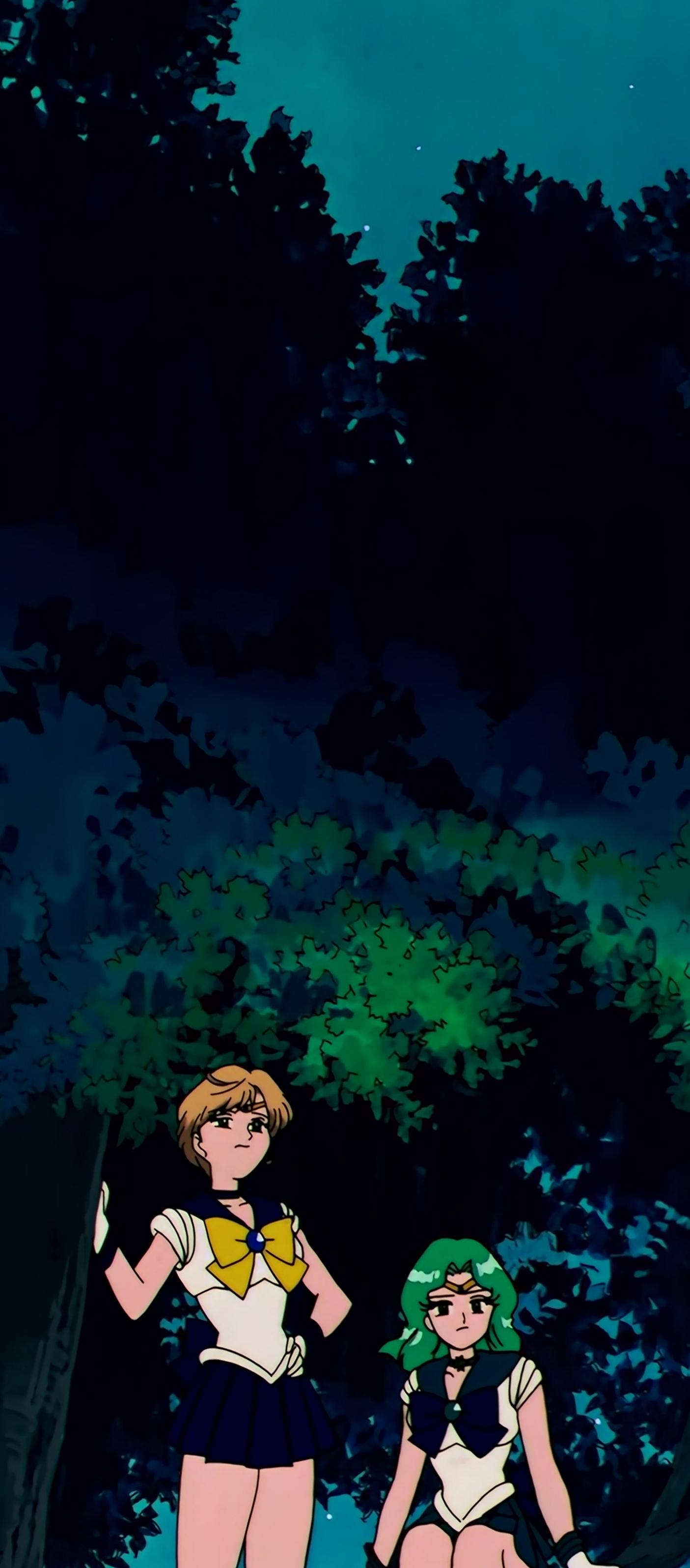 Sailor Moon S Stitch 0632.jpg