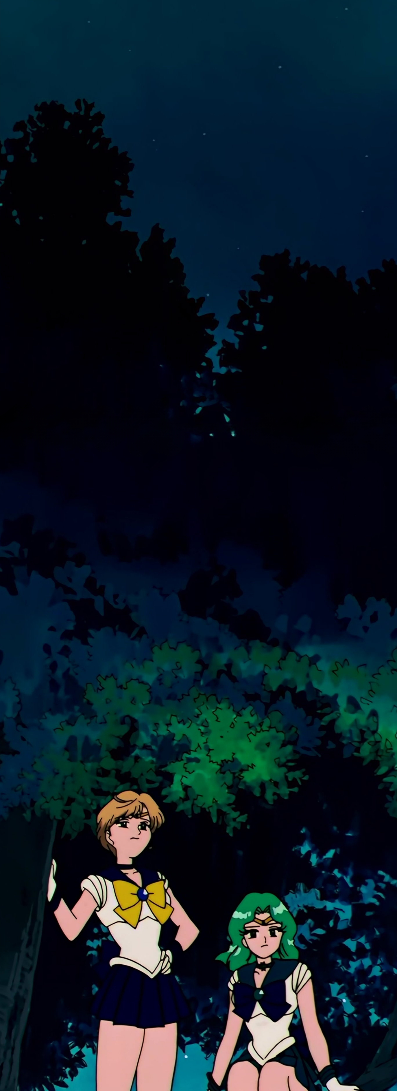 Sailor Moon S Stitch 0633.jpg