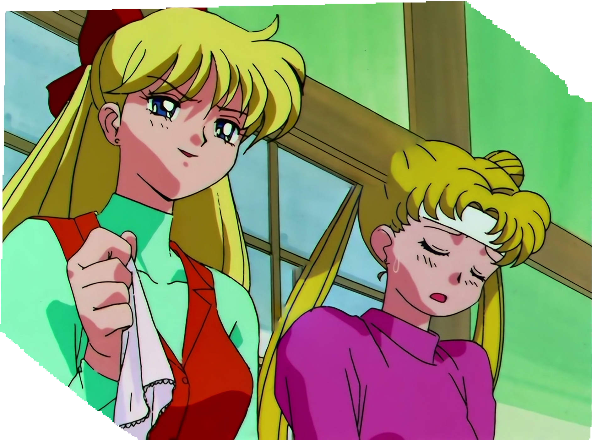 Sailor Moon S Stitch 0636.jpg