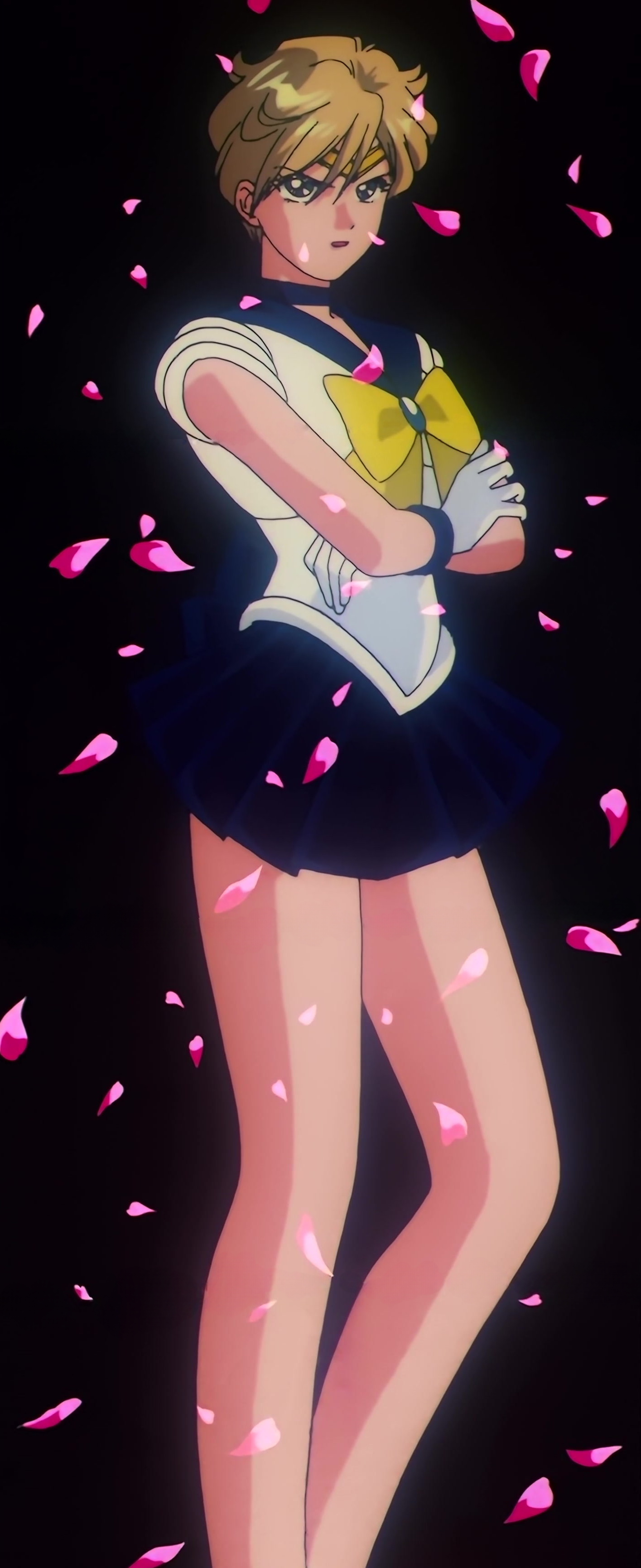 Sailor Moon S Stitch 0678.jpg