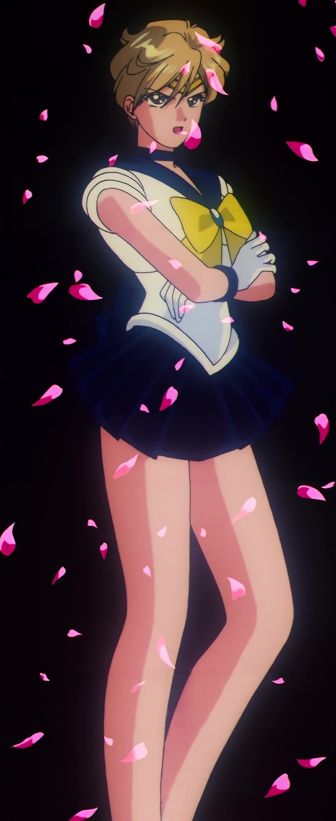 Sailor Moon S Stitch 0680.jpg