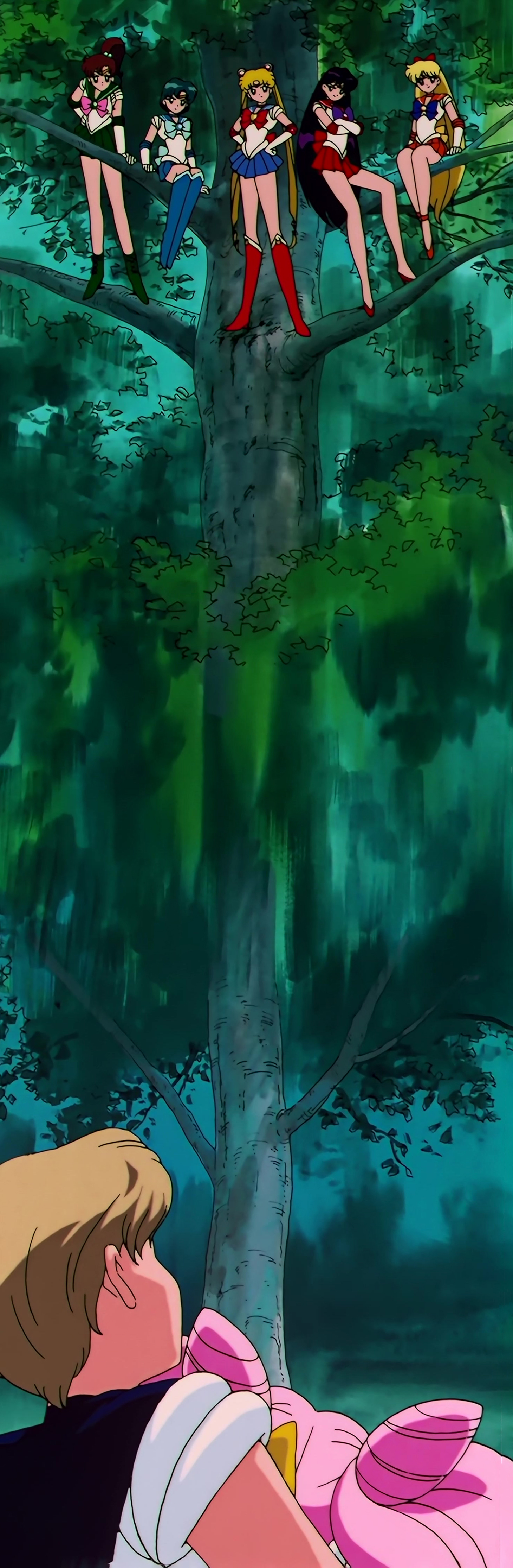 Sailor Moon S Stitch 0906.jpg