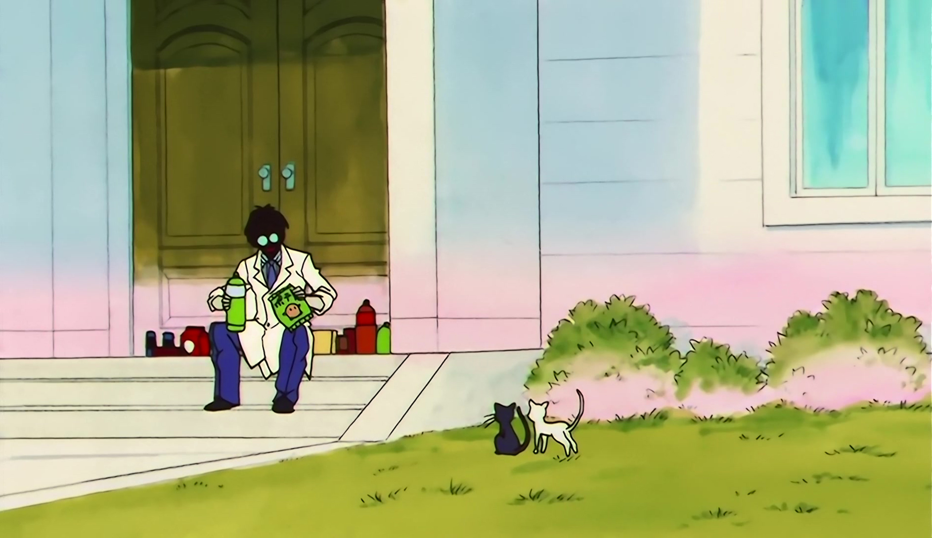 Sailor Moon S Stitch 1026.jpg