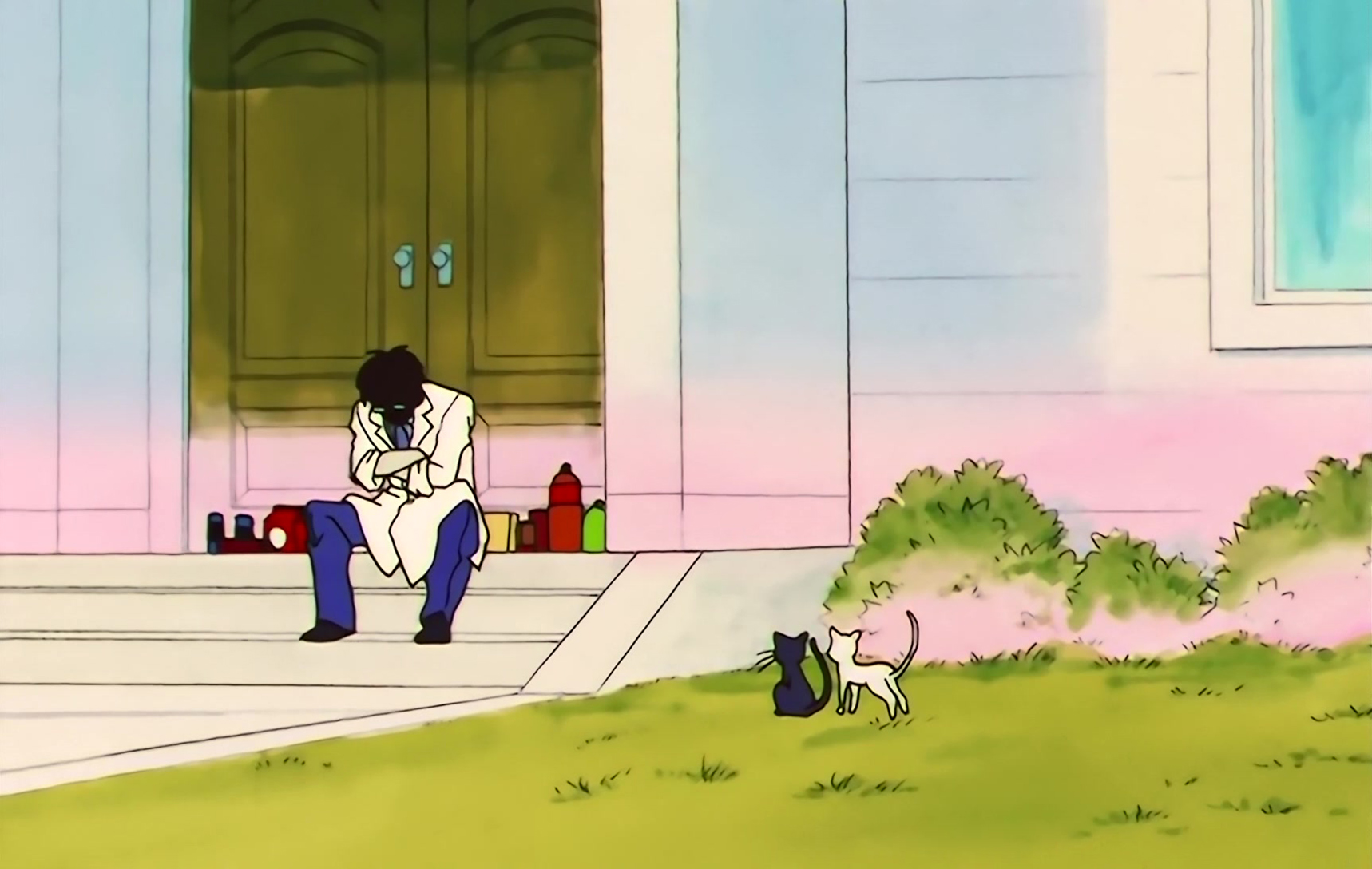 Sailor Moon S Stitch 1037.jpg
