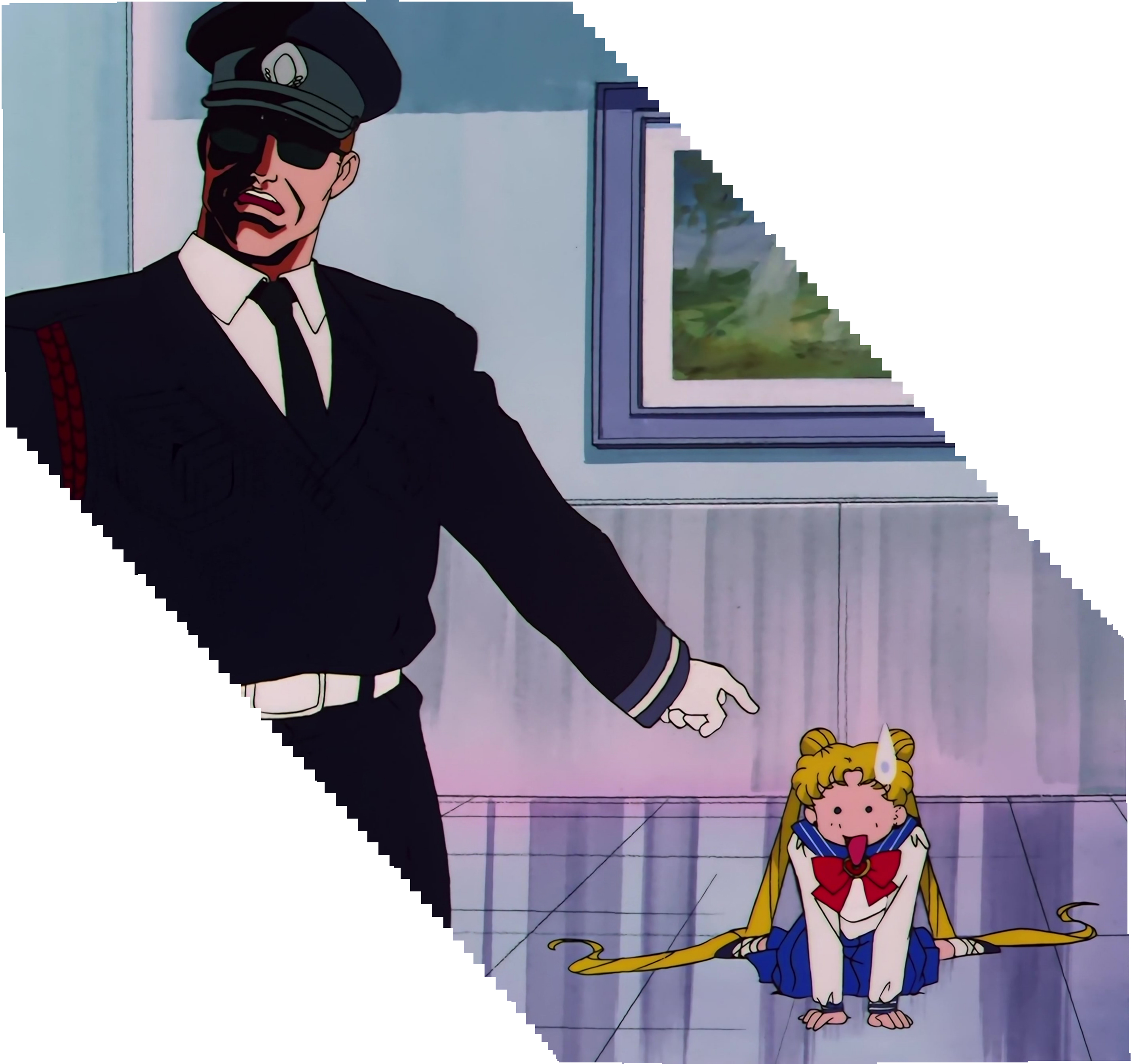 Sailor Moon S Stitch 1094.jpg