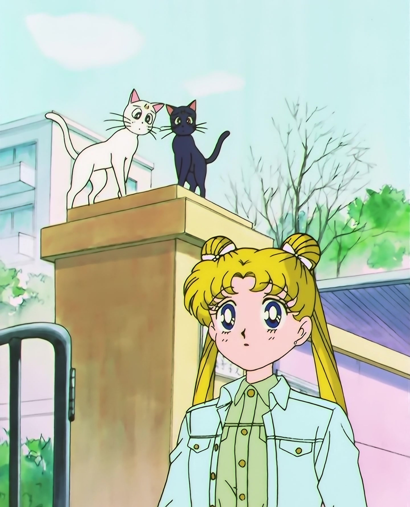 Sailor Moon S Stitch 1322.jpg