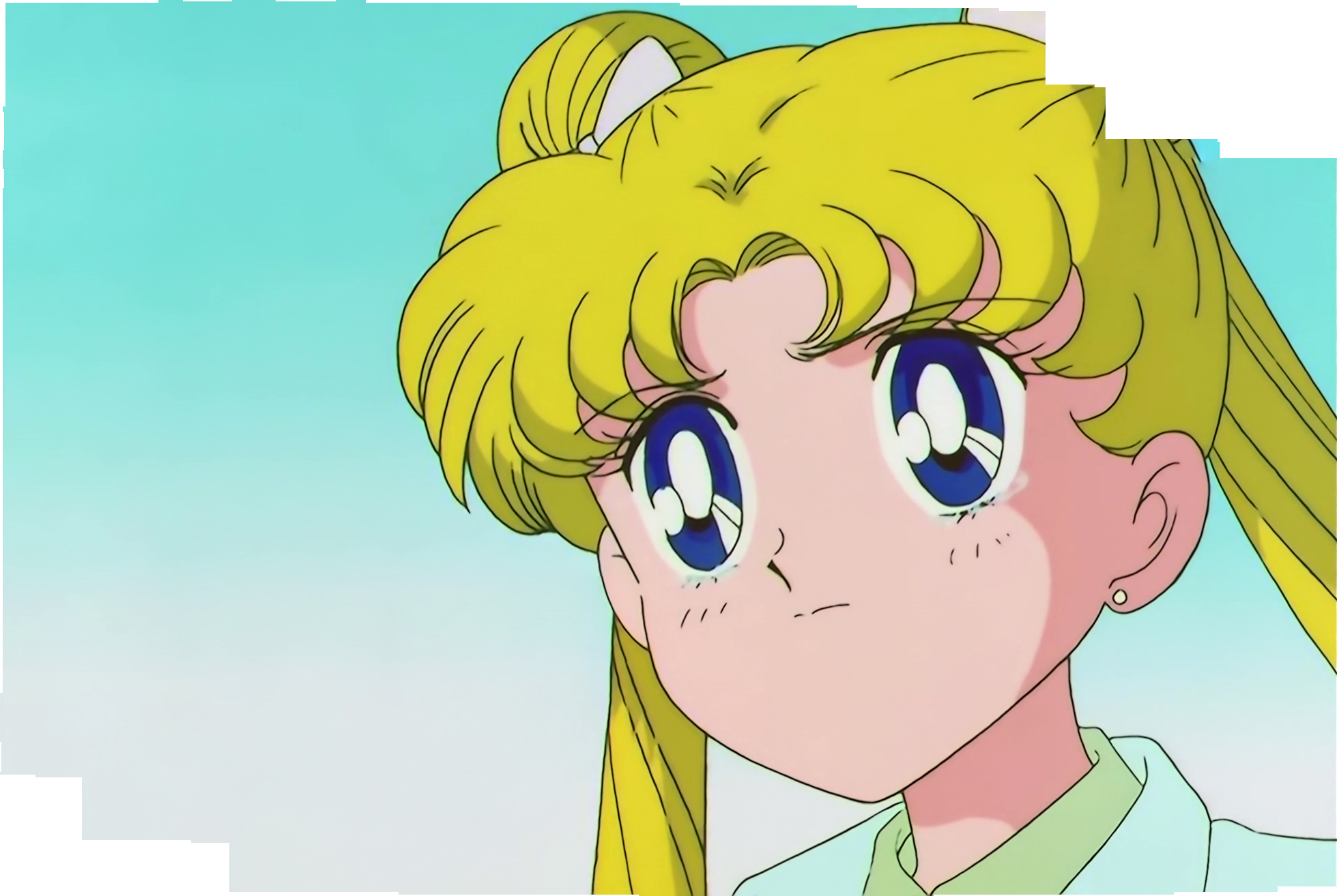 Sailor Moon S Stitch 1355.jpg