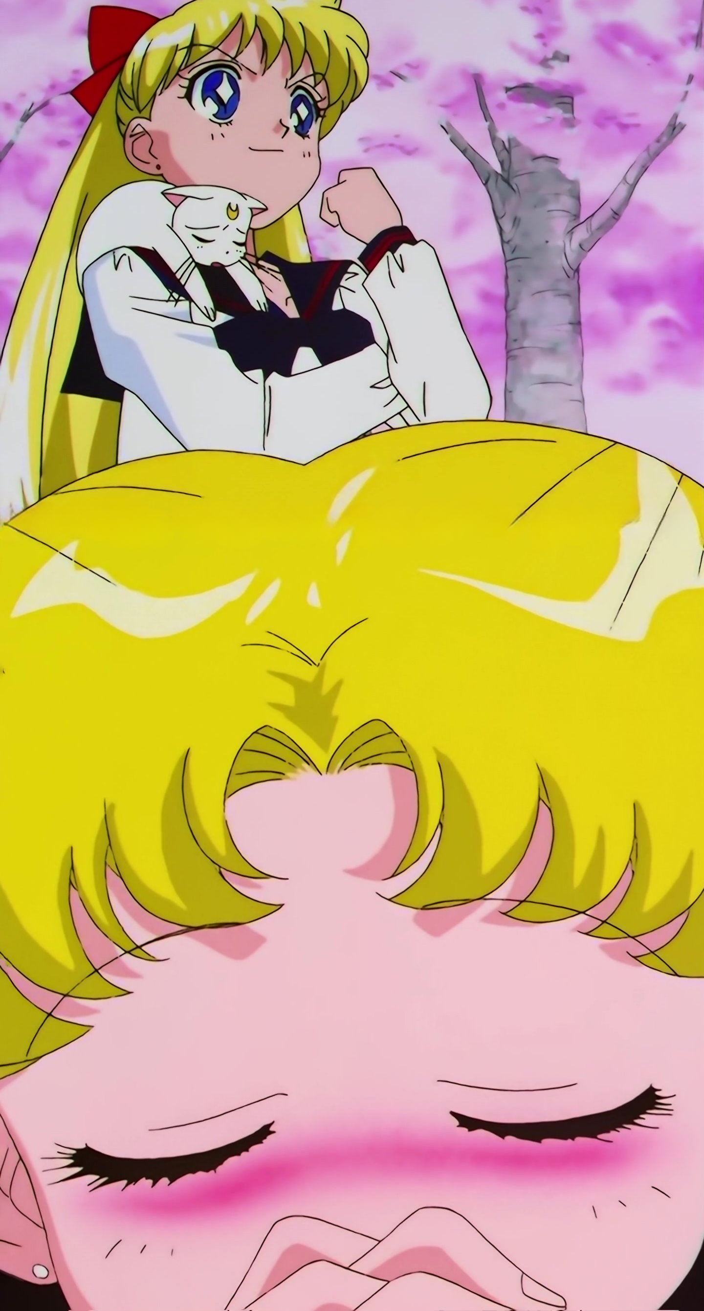 Sailor Moon Stars Stitch 0008.jpg