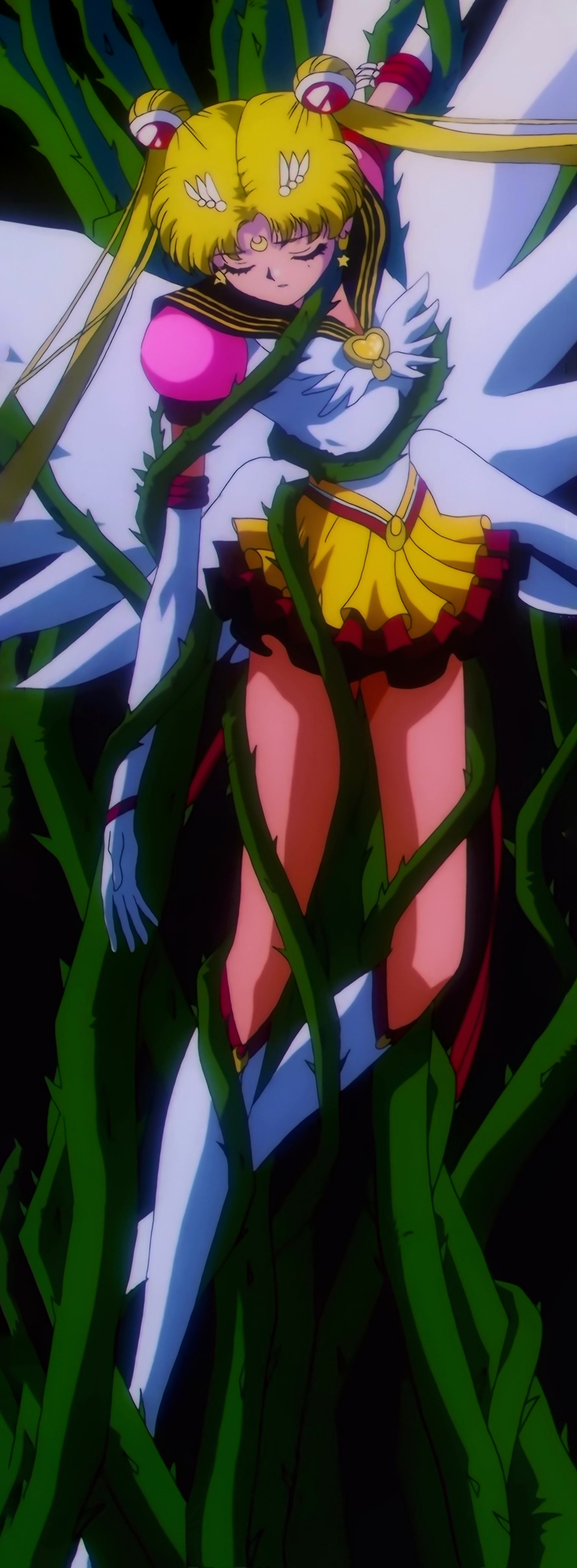 Sailor Moon Stars Stitch 0058.jpg