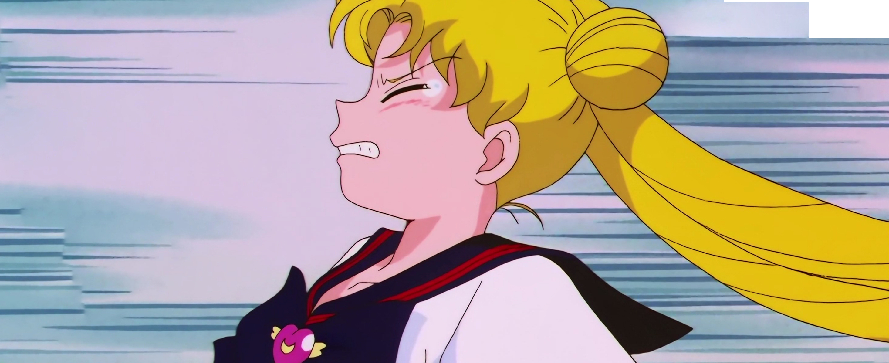 Sailor Moon Stars Stitch 0122.jpg