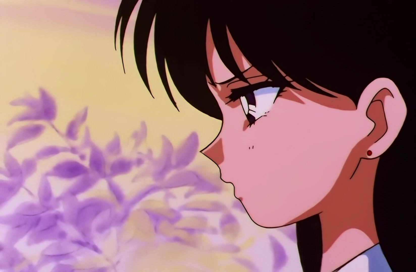 Sailor Moon Stars Stitch 0146.jpg