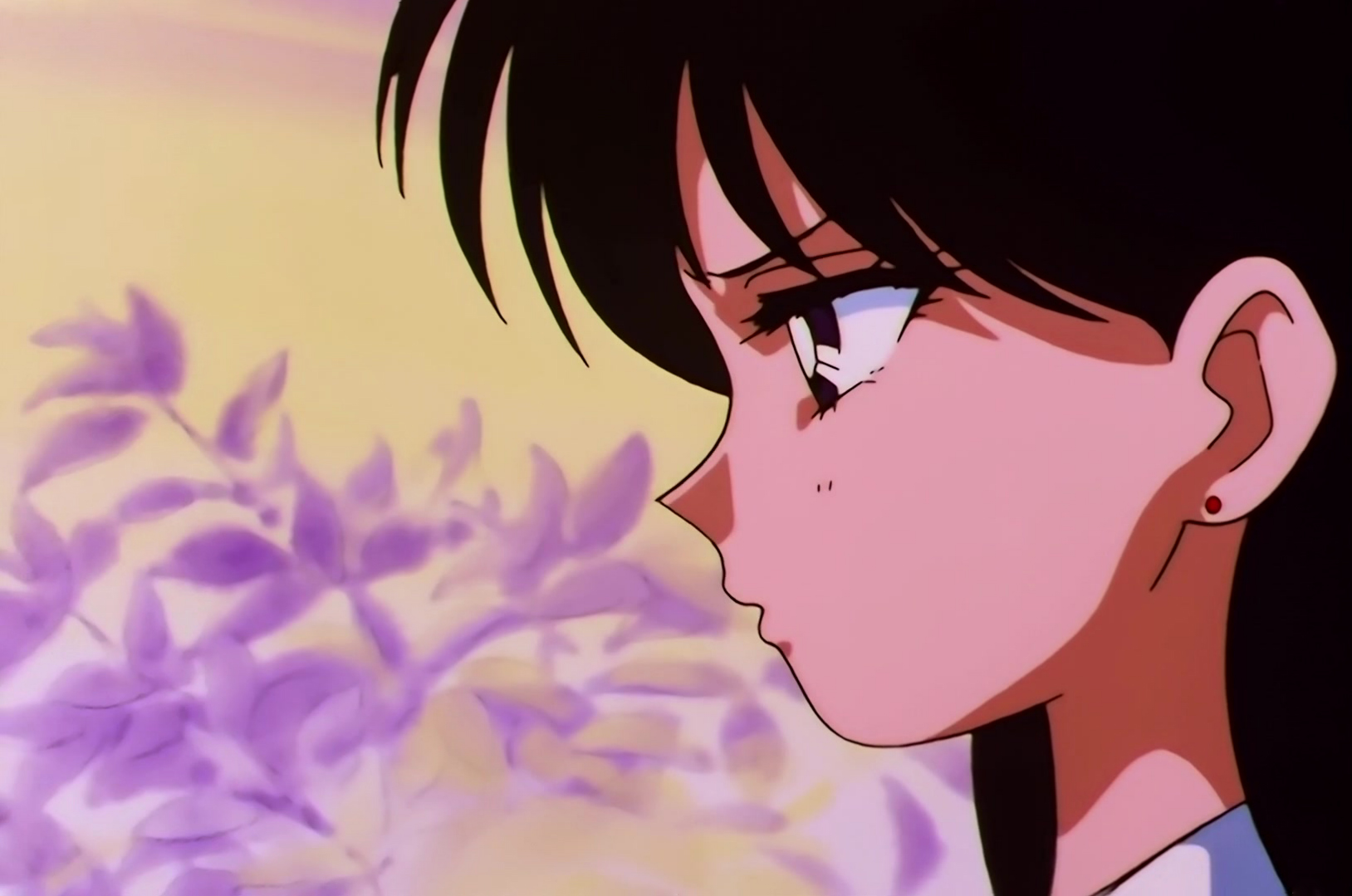 Sailor Moon Stars Stitch 0147.jpg