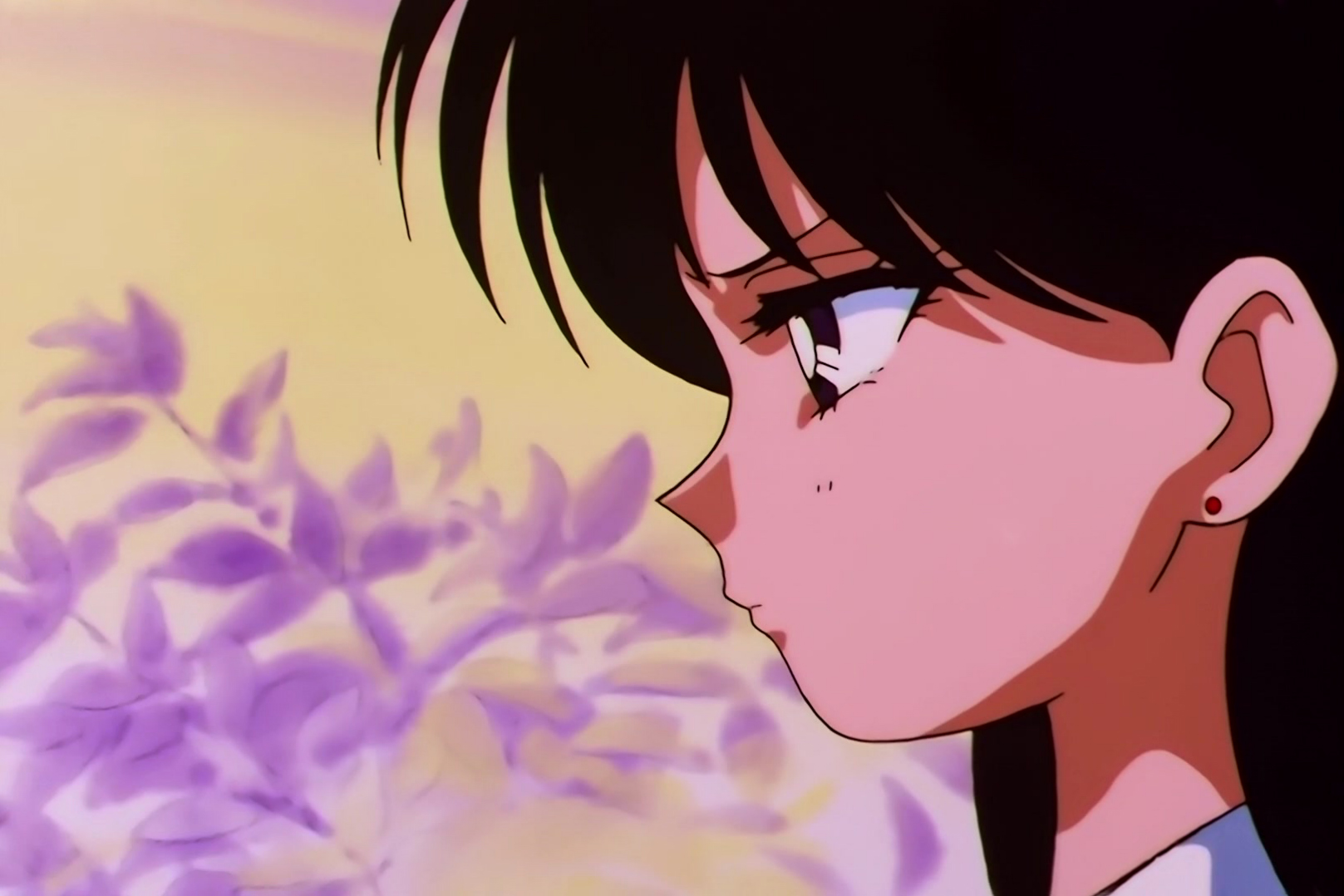 Sailor Moon Stars Stitch 0148.jpg