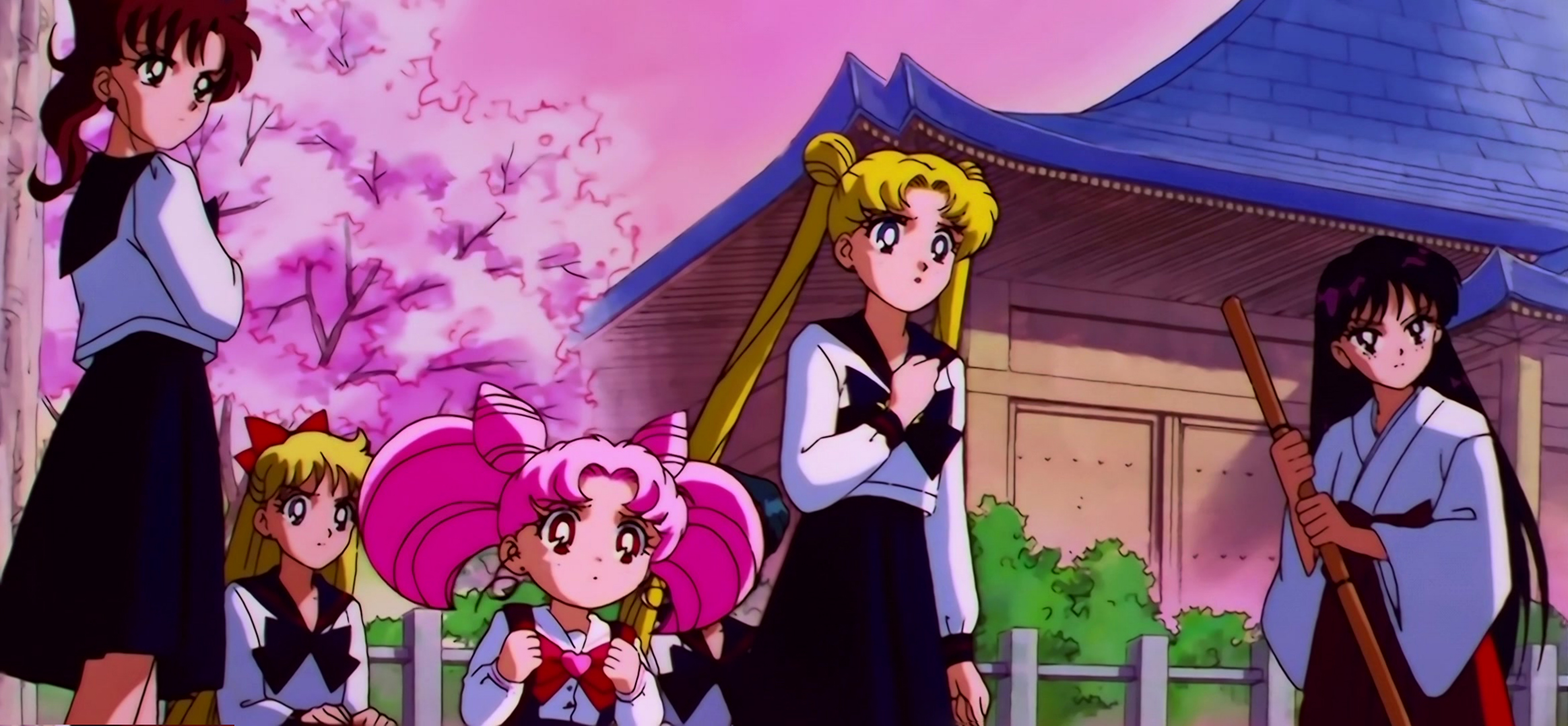 Sailor Moon Stars Stitch 0150.jpg
