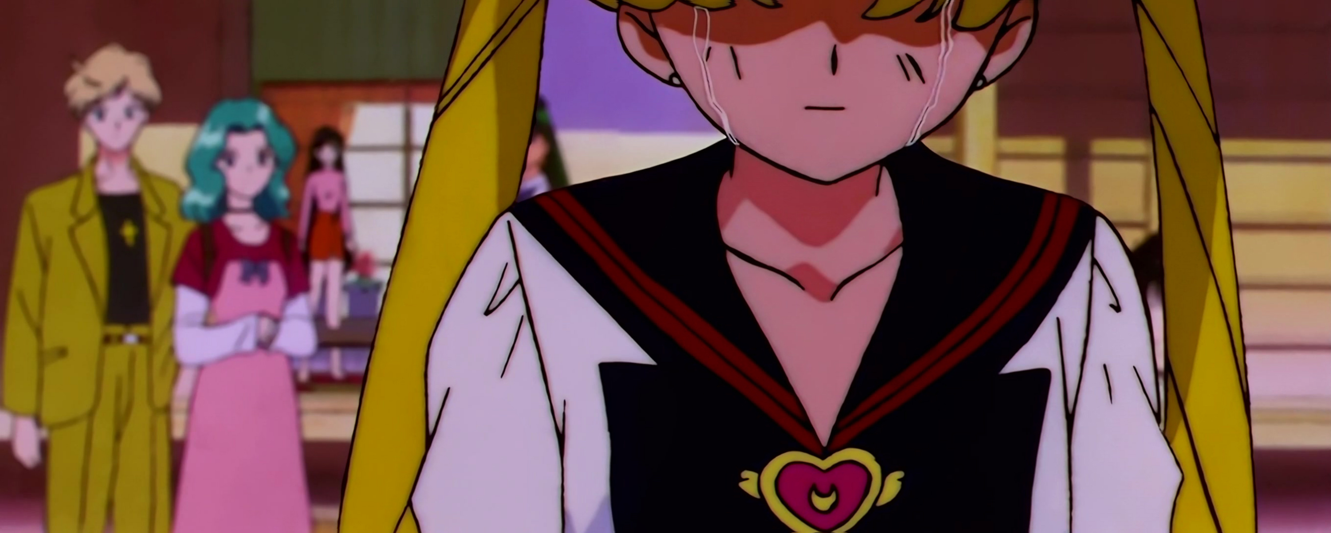 Sailor Moon Stars Stitch 0208.jpg