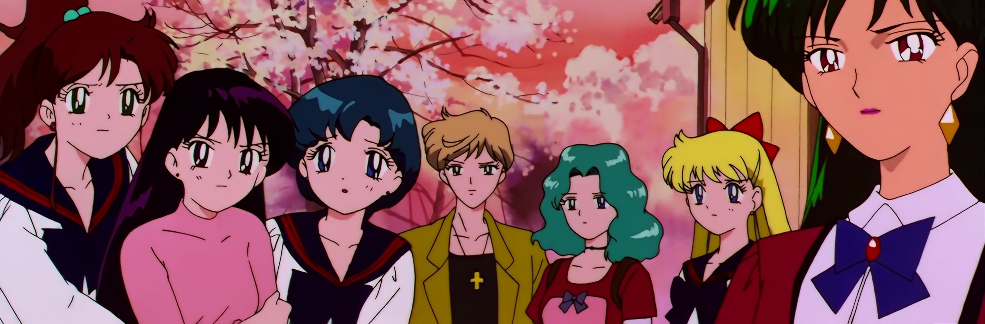 Sailor Moon Stars Stitch 0209.jpg