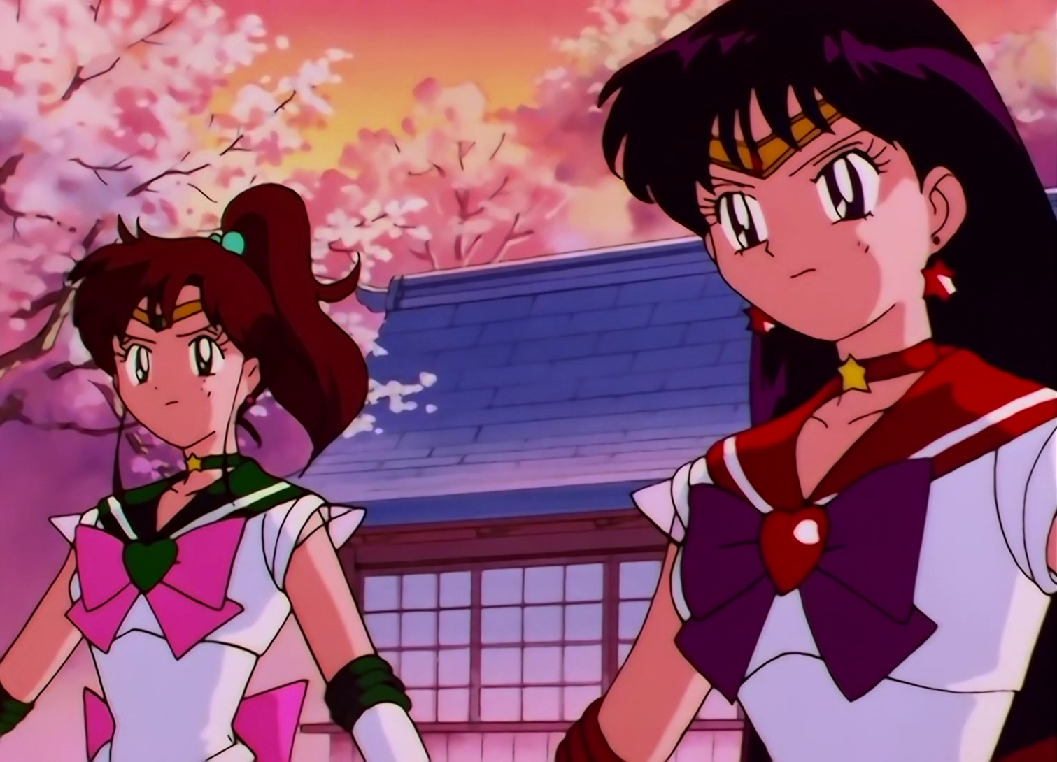 Sailor Moon Stars Stitch 0210.jpg