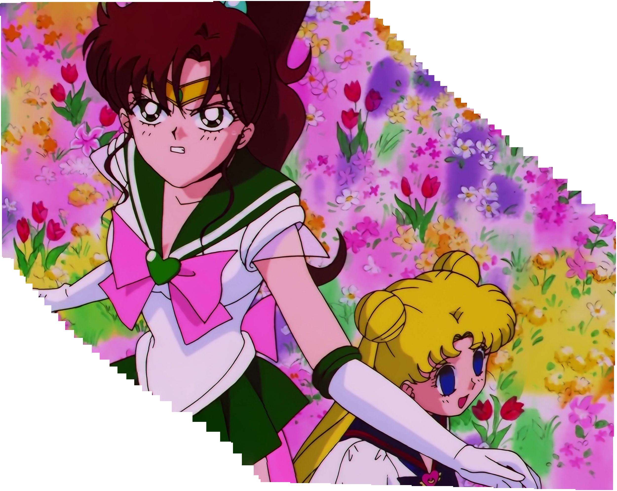 Sailor Moon Stars Stitch 0269.jpg