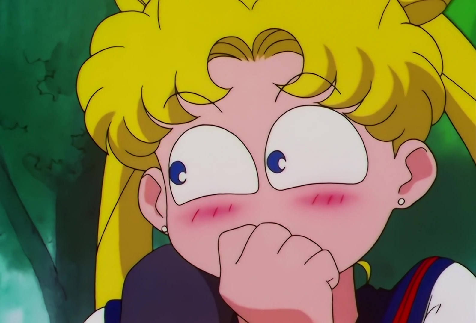 Sailor Moon Stars Stitch 0375.jpg