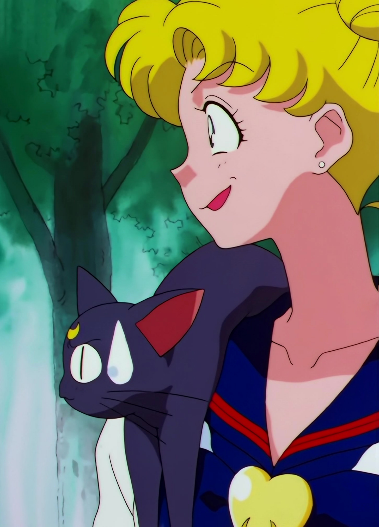 Sailor Moon Stars Stitch 0378.jpg