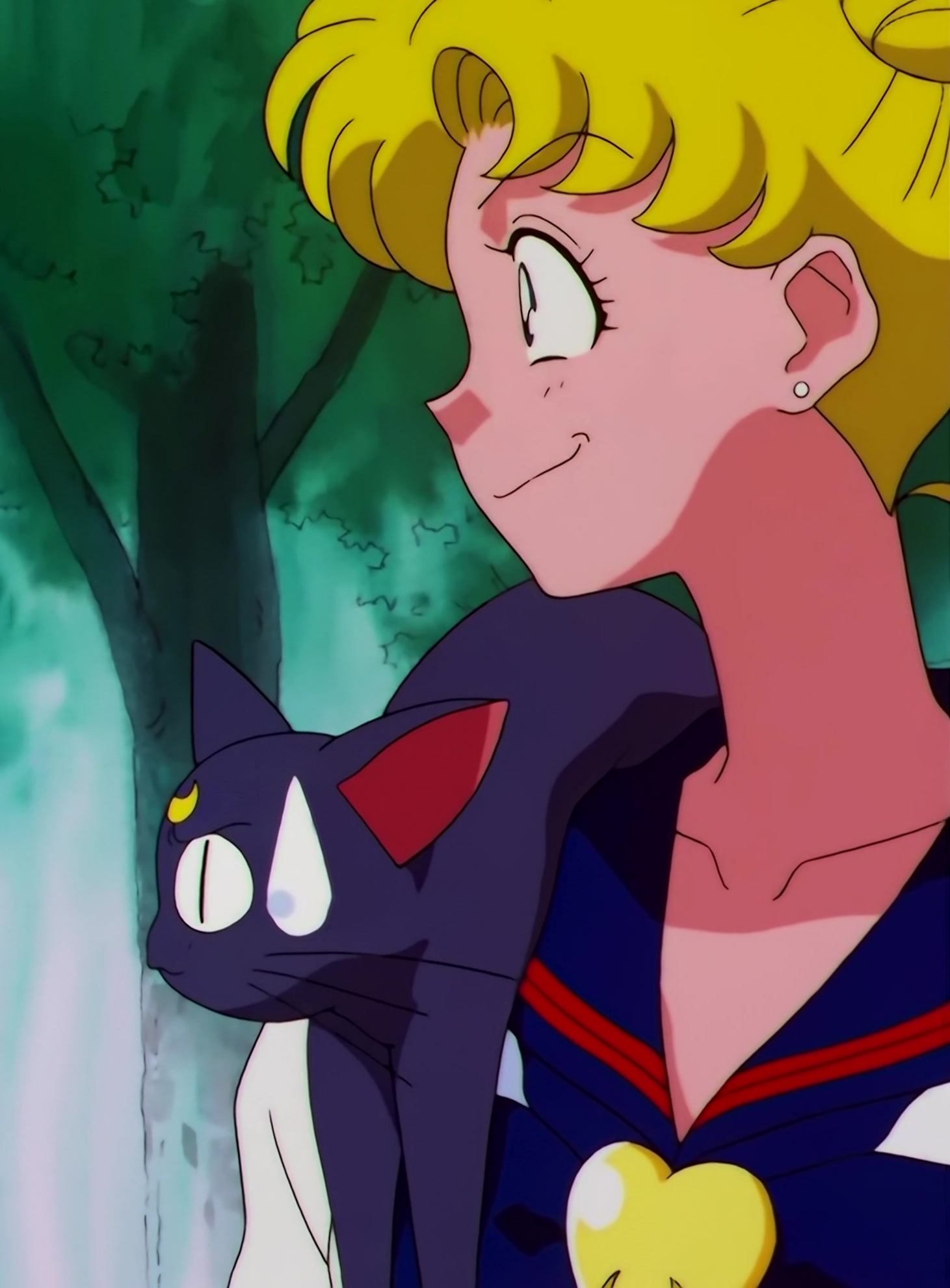 Sailor Moon Stars Stitch 0379.jpg