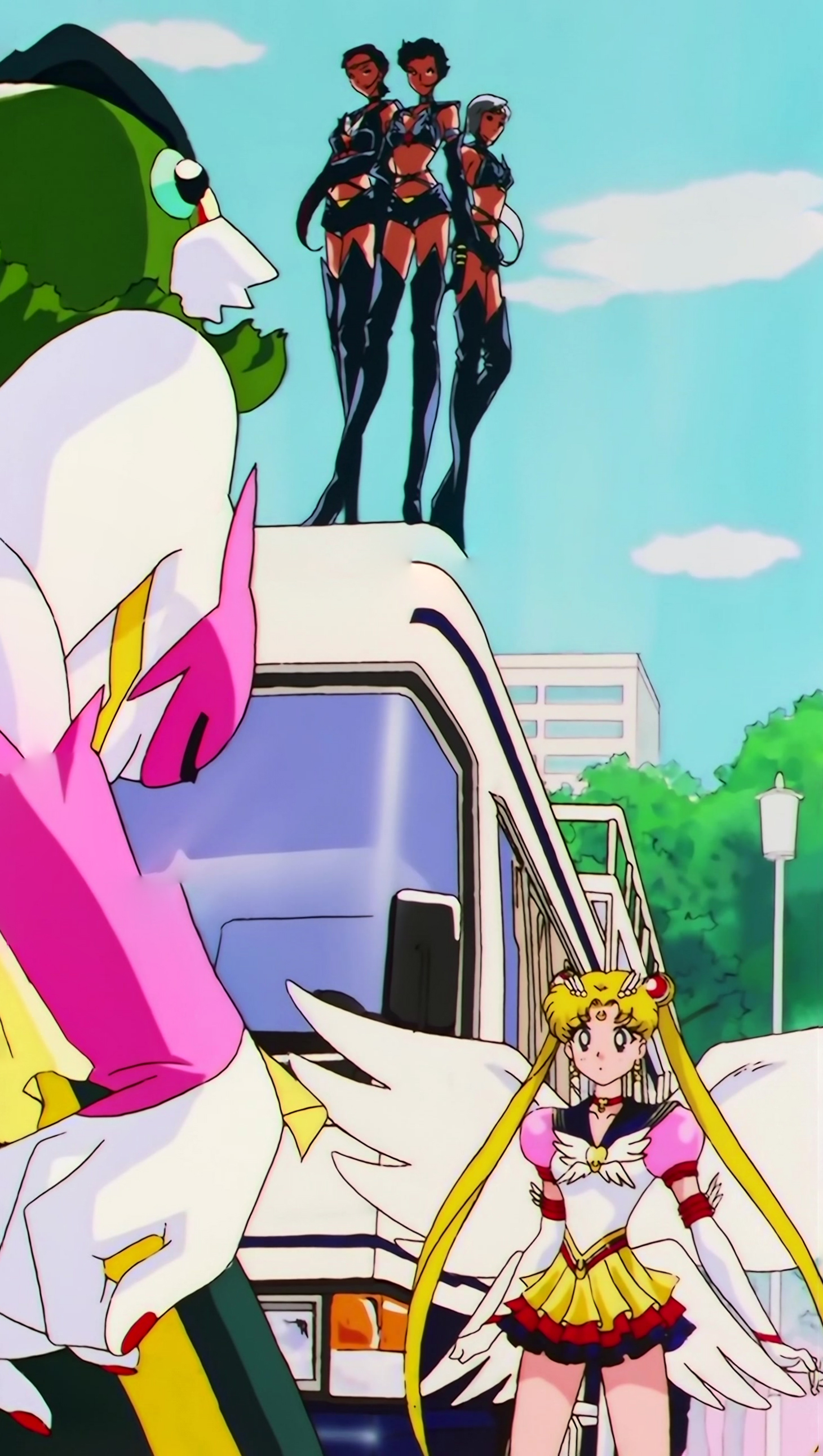 Sailor Moon Stars Stitch 0397.jpg