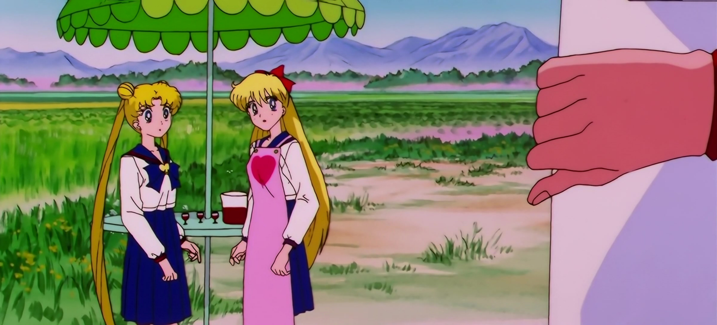 Sailor Moon Stars Stitch 0465.jpg