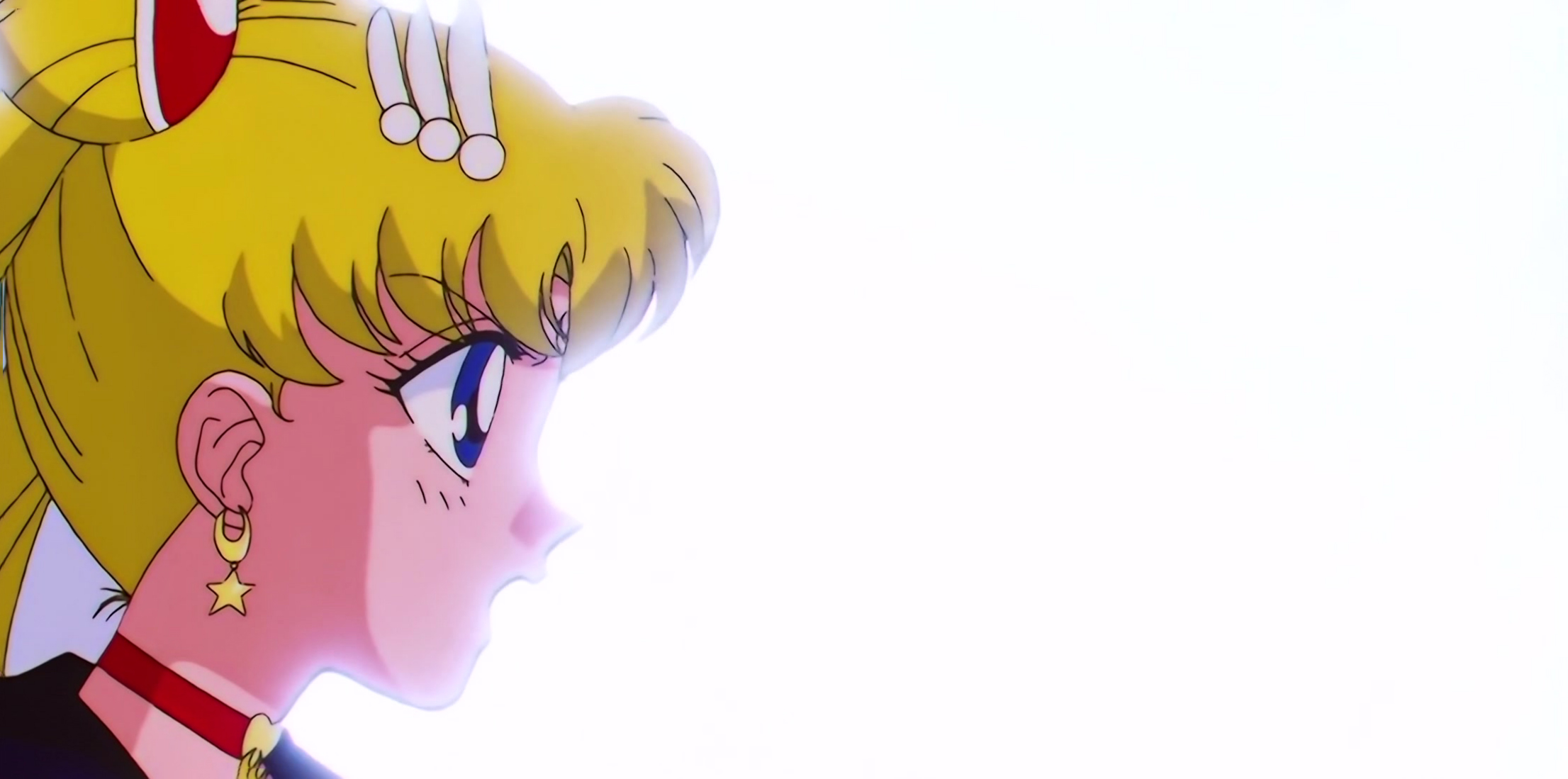 Sailor Moon Stars Stitch 0480.jpg