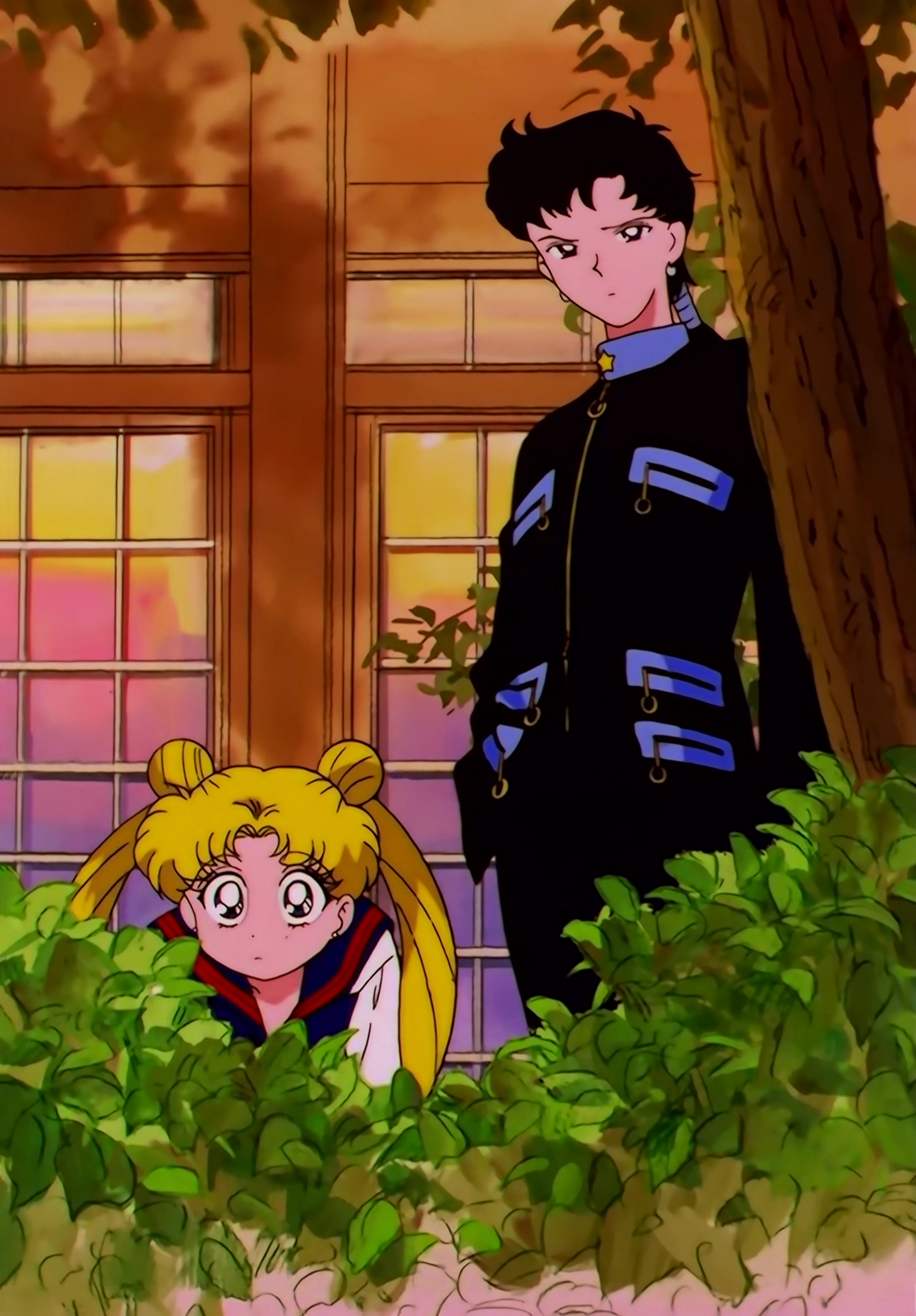 Sailor Moon Stars Stitch 0532.jpg