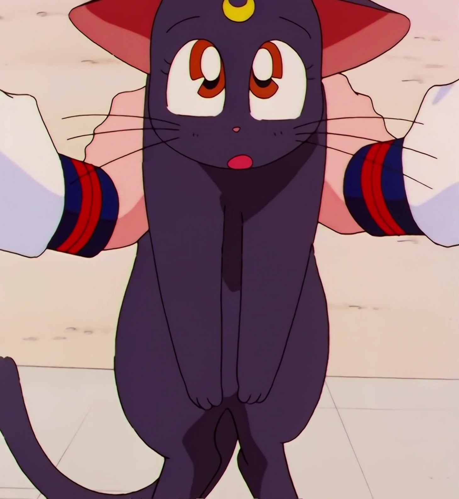 Sailor Moon Stars Stitch 0613.jpg