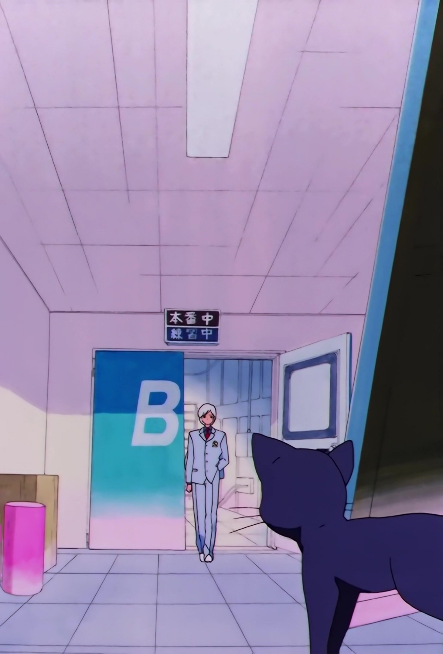 Sailor Moon Stars Stitch 0614.jpg