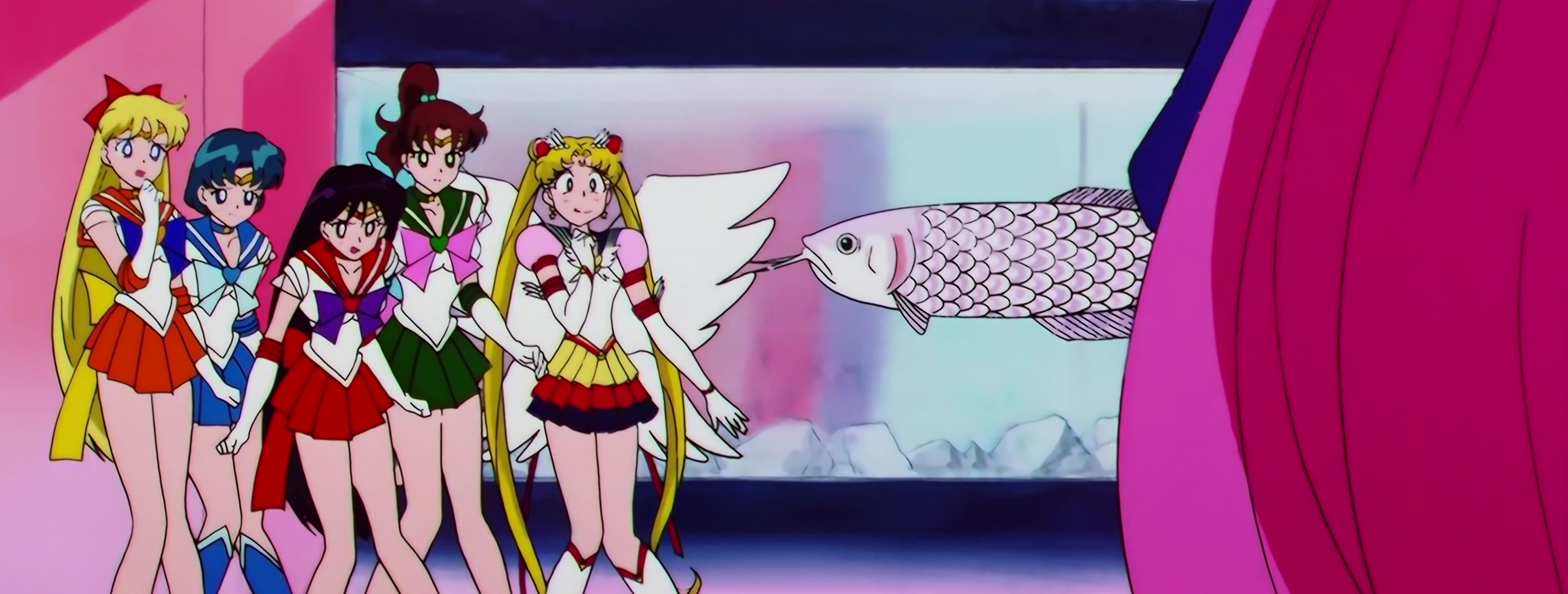 Sailor Moon Stars Stitch 0649.jpg
