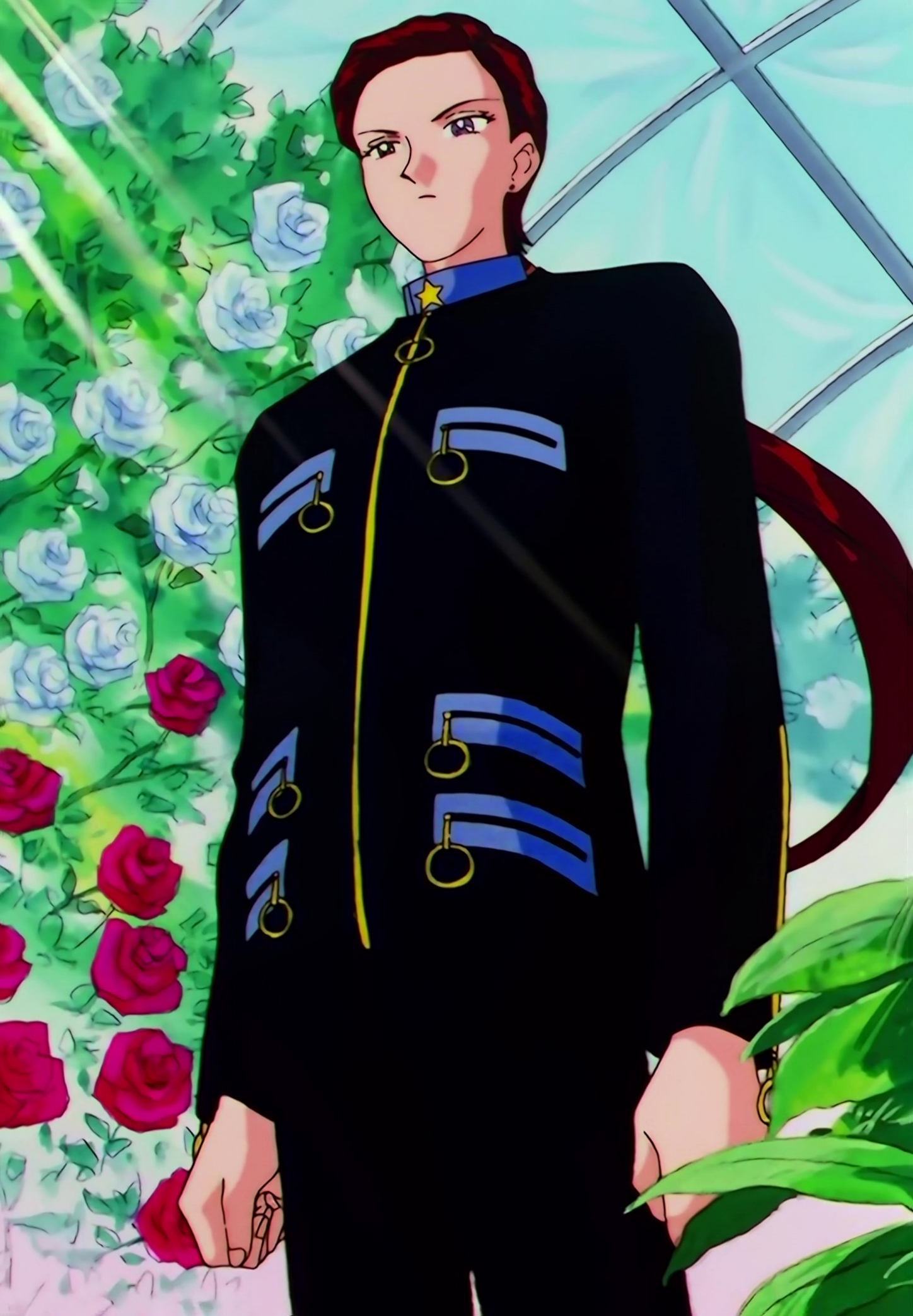 Sailor Moon Stars Stitch 0668.jpg