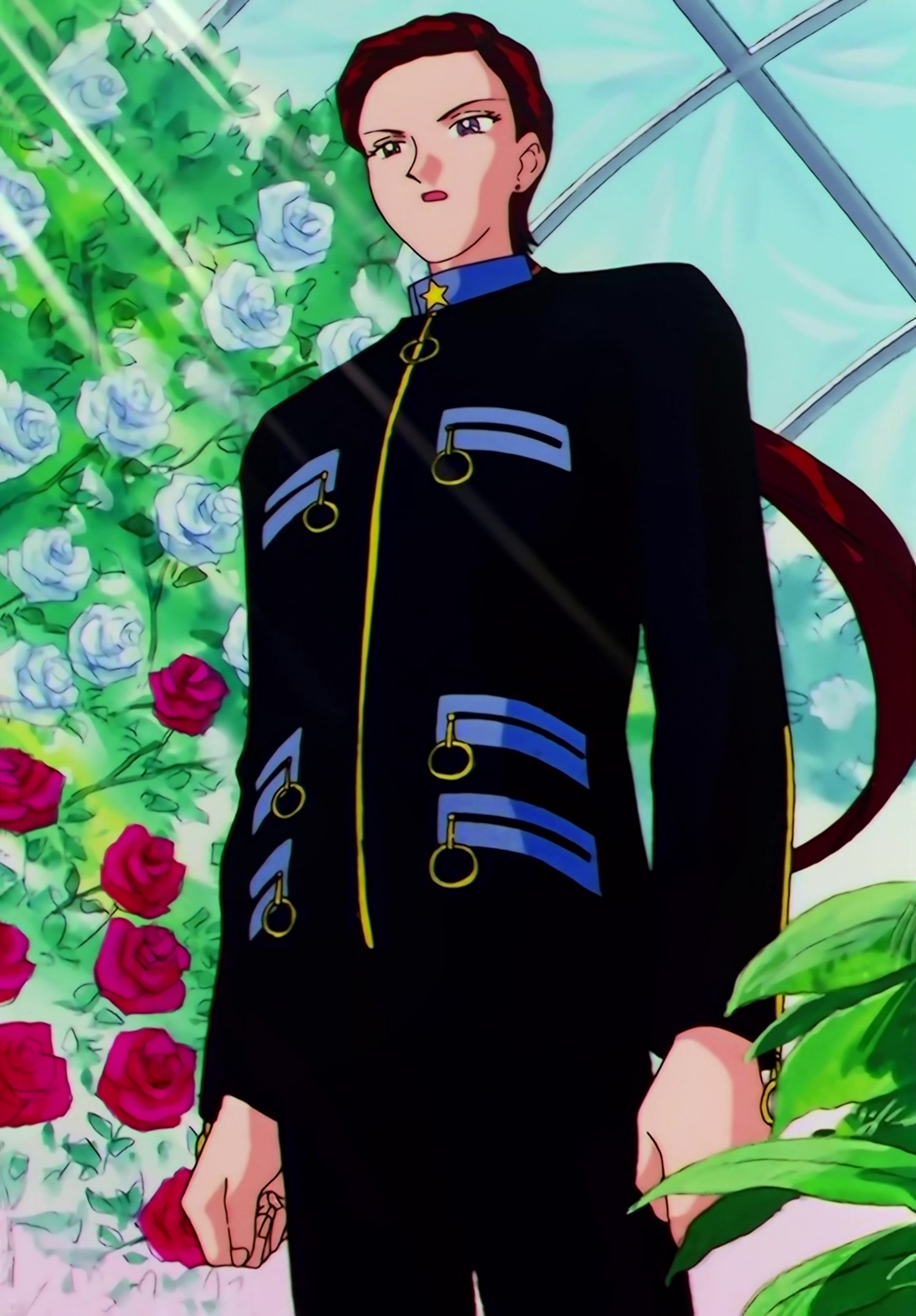 Sailor Moon Stars Stitch 0669.jpg